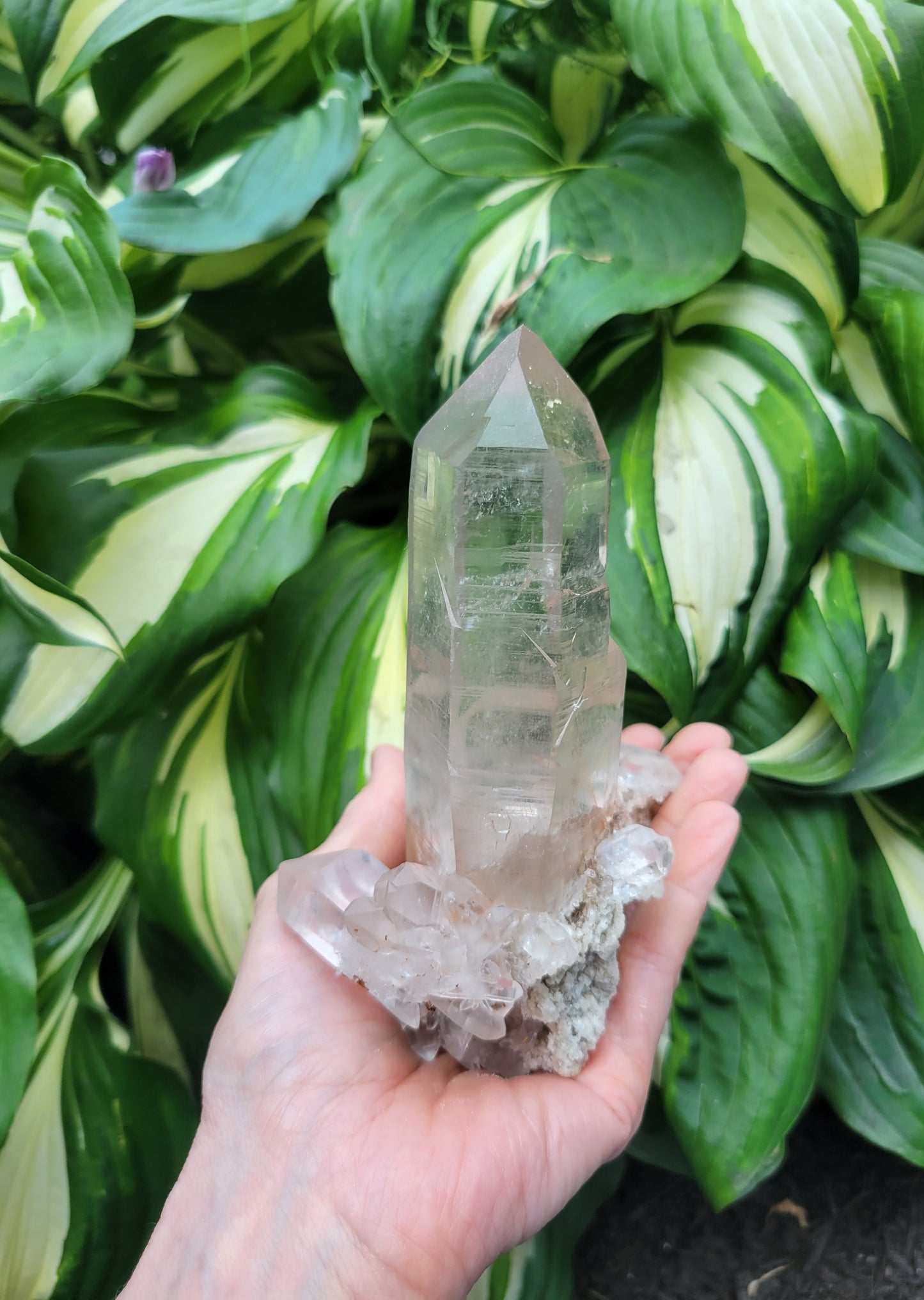 Quartz (Rutilated & Himalayan) from India