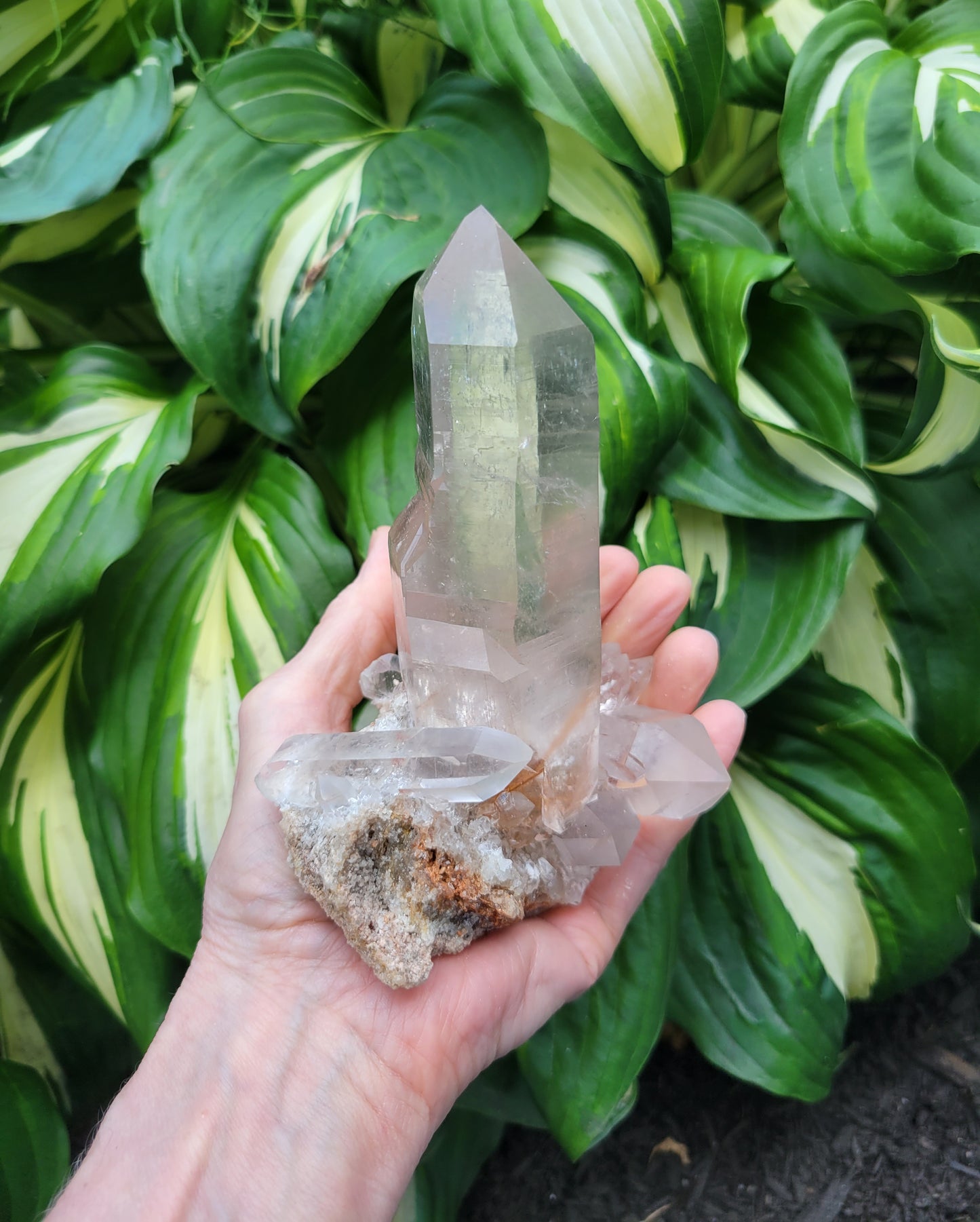 Quartz (Rutilated & Himalayan) from India