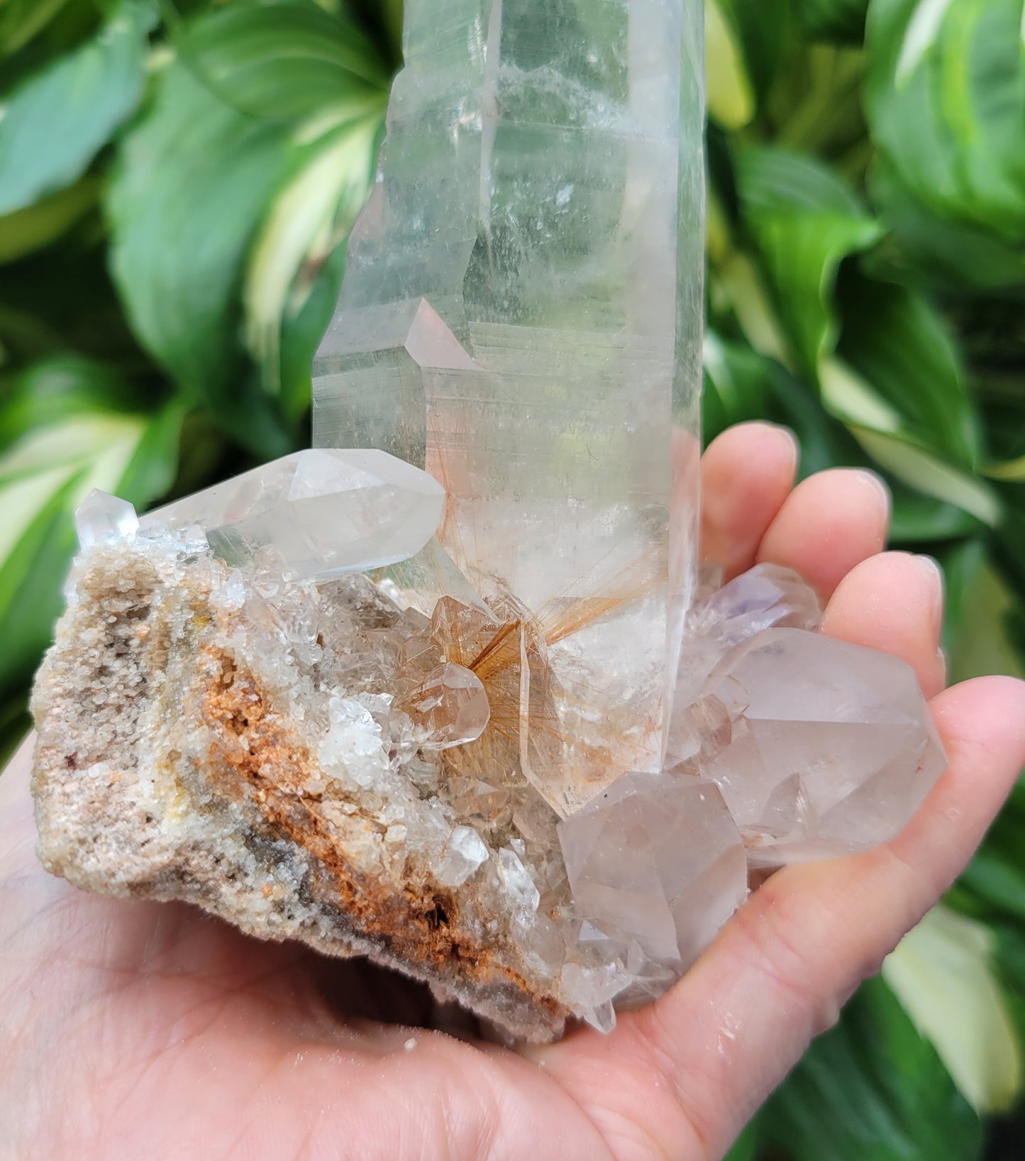 Quartz (Rutilated & Himalayan) from India