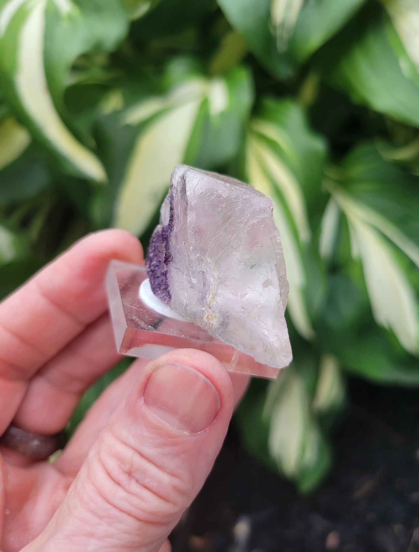 Fluorite from Cave in Rock, Illinois