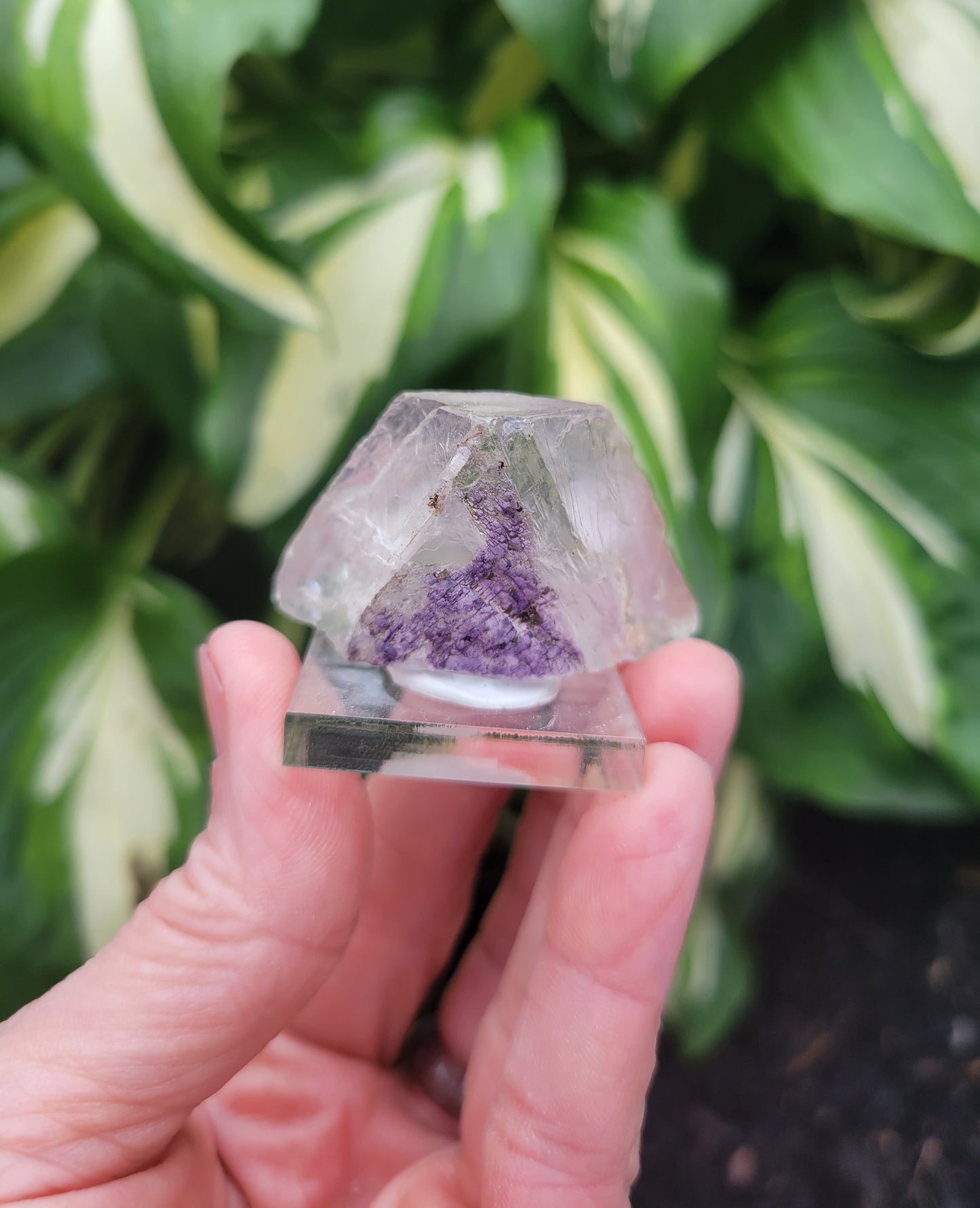 Fluorite from Cave in Rock, Illinois
