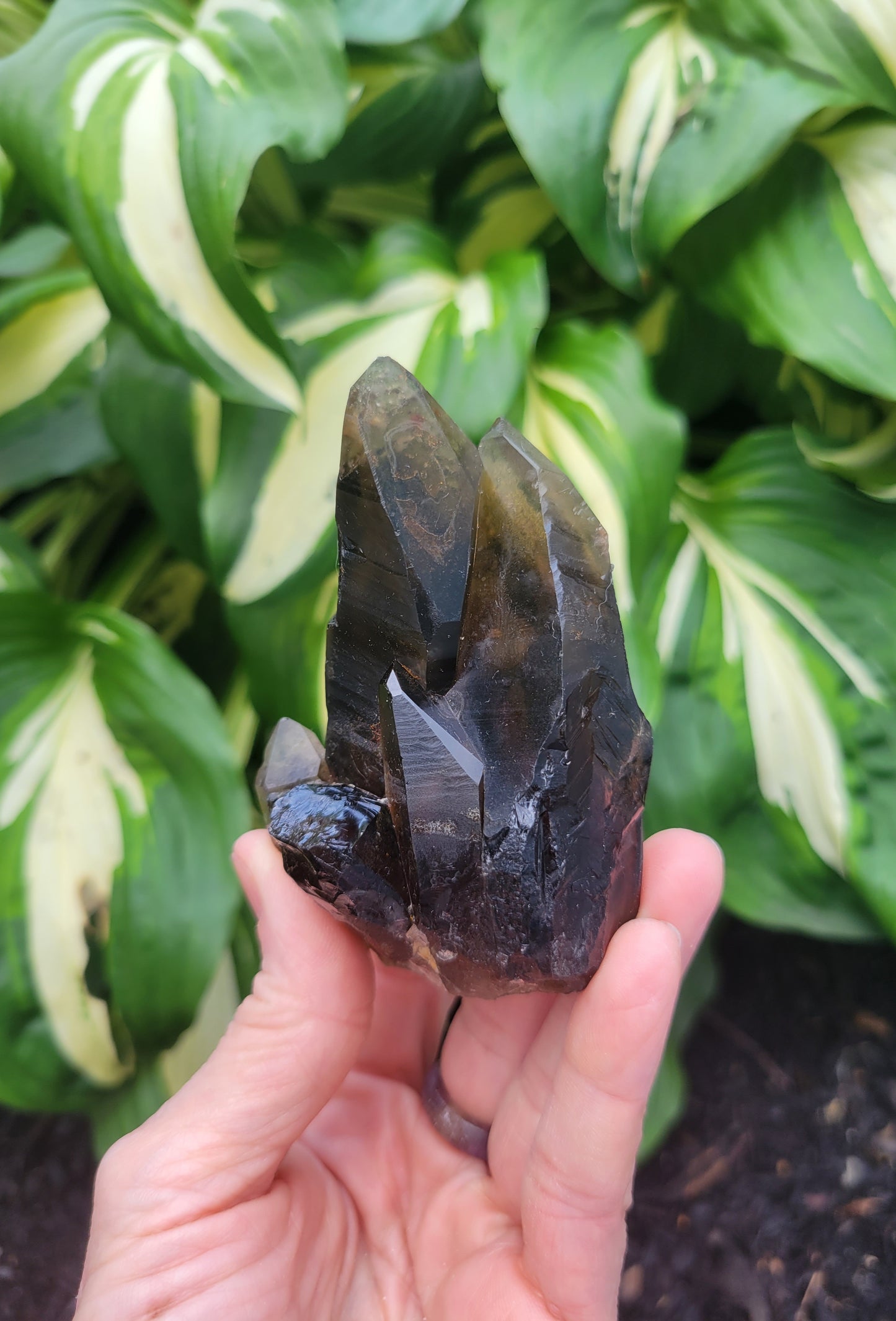 Quartz (Smokey Citrine) from Diamantina, Brazil
