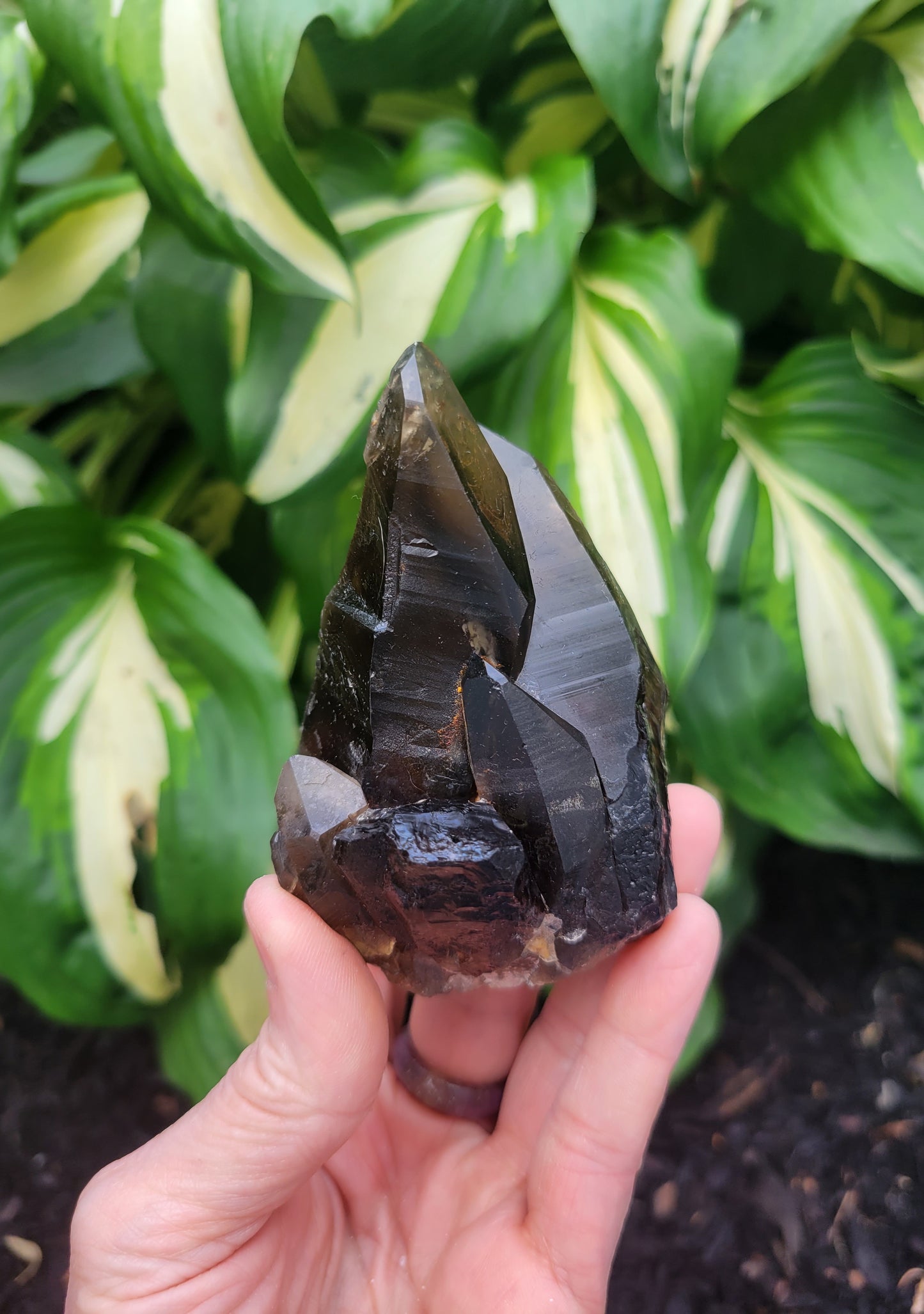 Quartz (Smokey Citrine) from Diamantina, Brazil