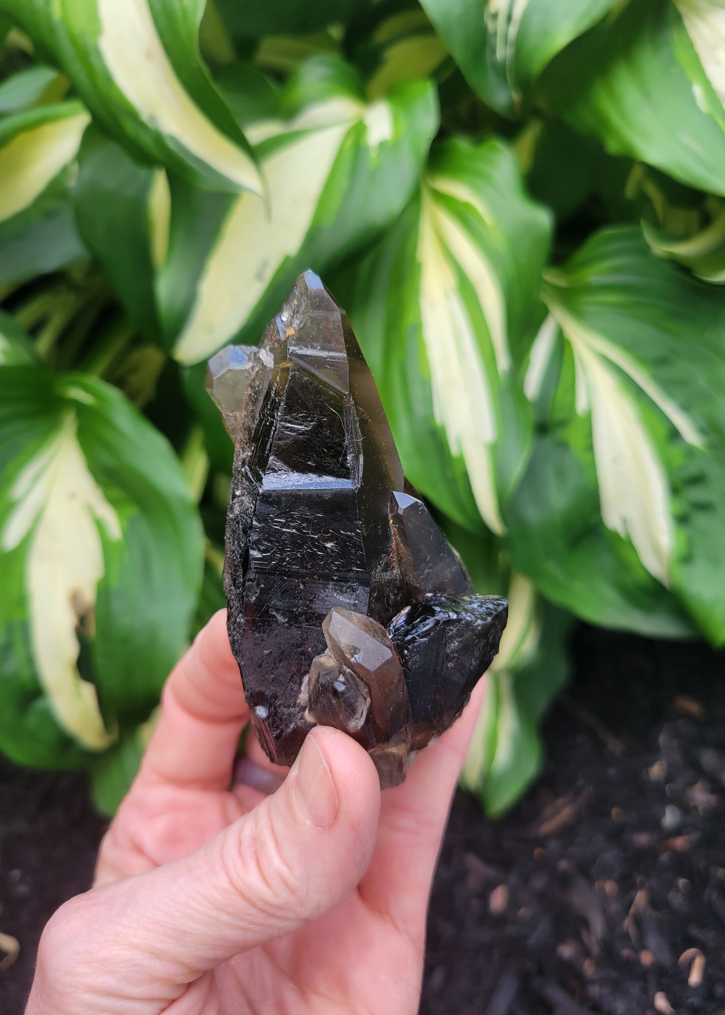 Quartz (Smokey Citrine) from Diamantina, Brazil