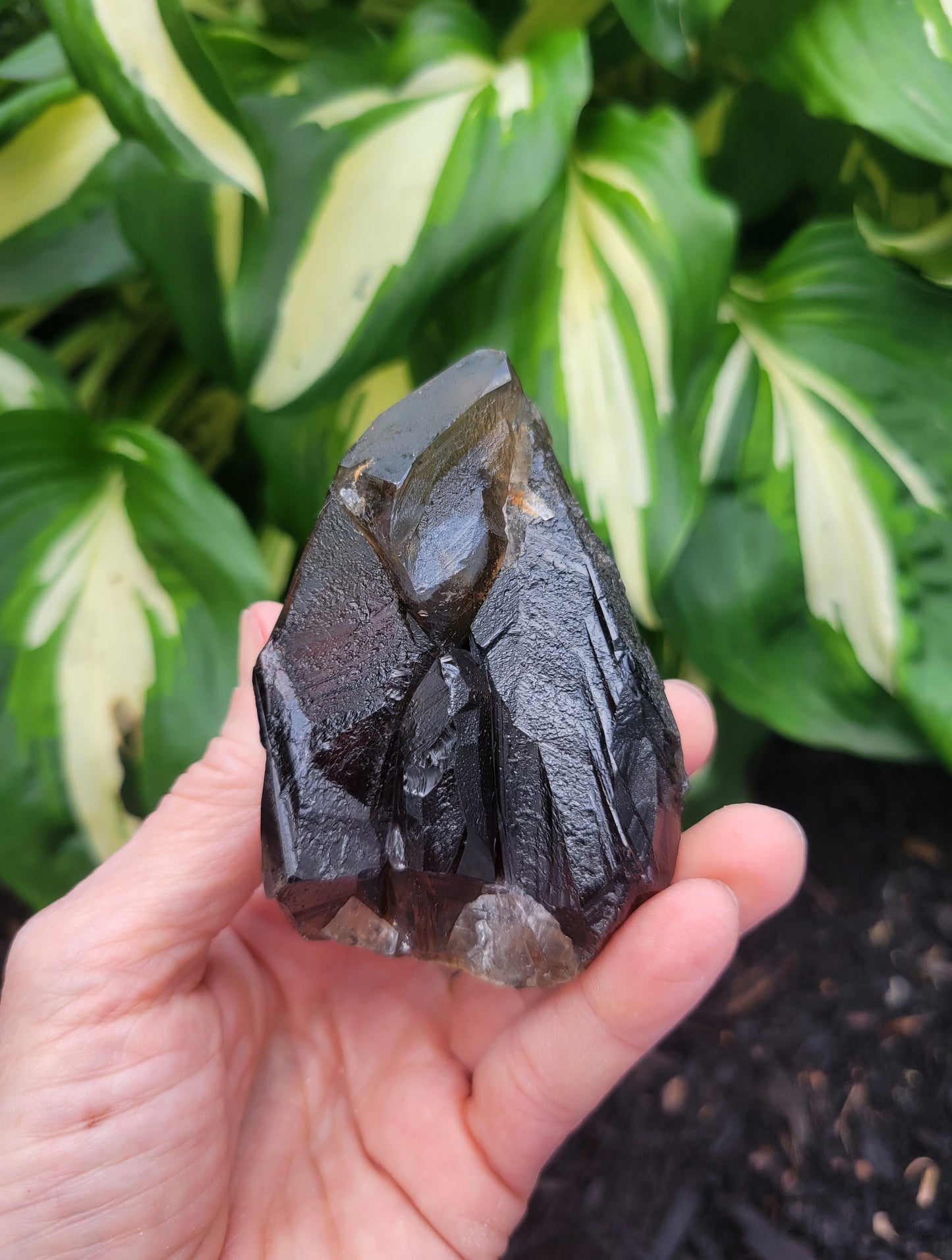 Quartz (Smokey Citrine) from Diamantina, Brazil