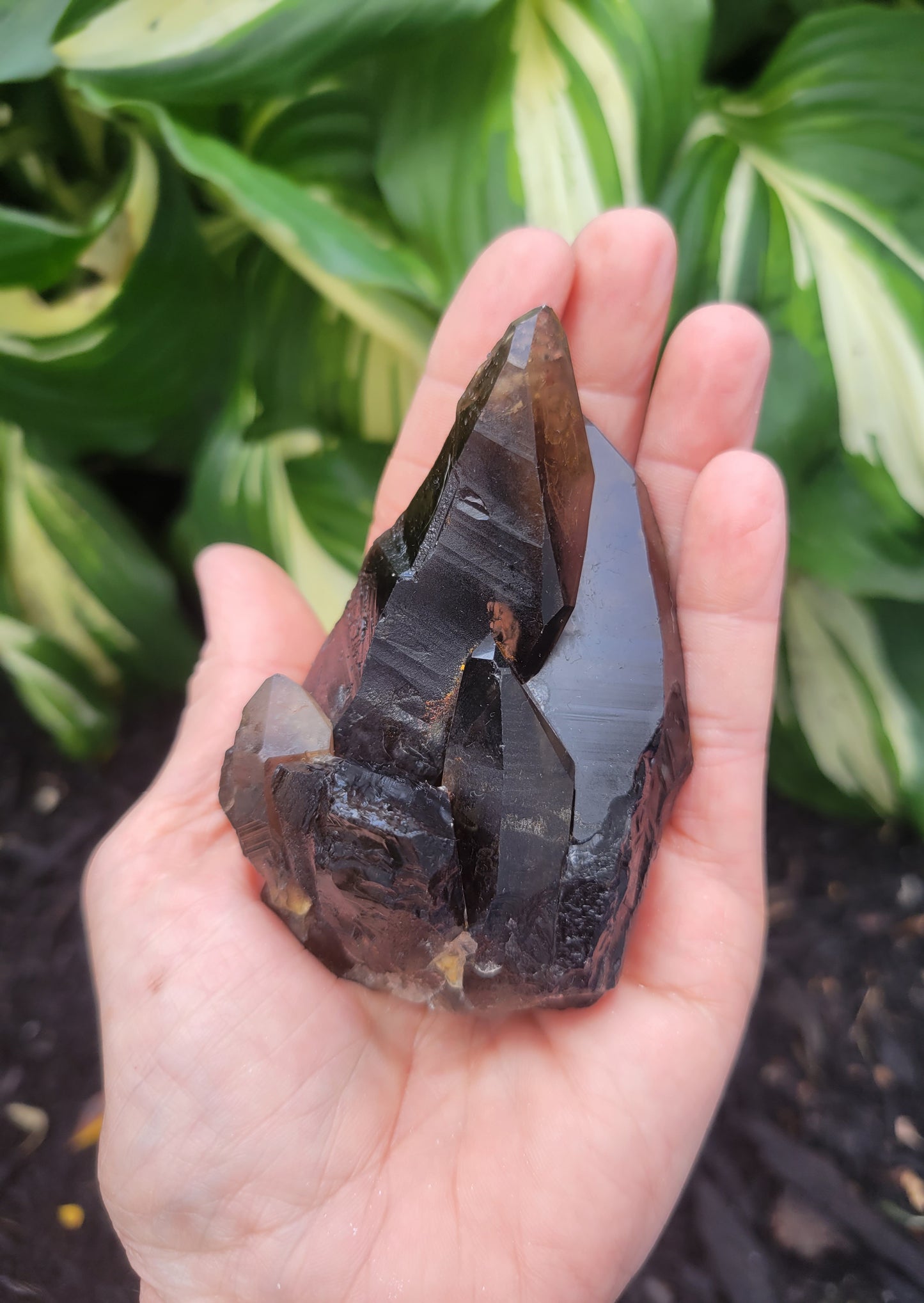 Quartz (Smokey Citrine) from Diamantina, Brazil