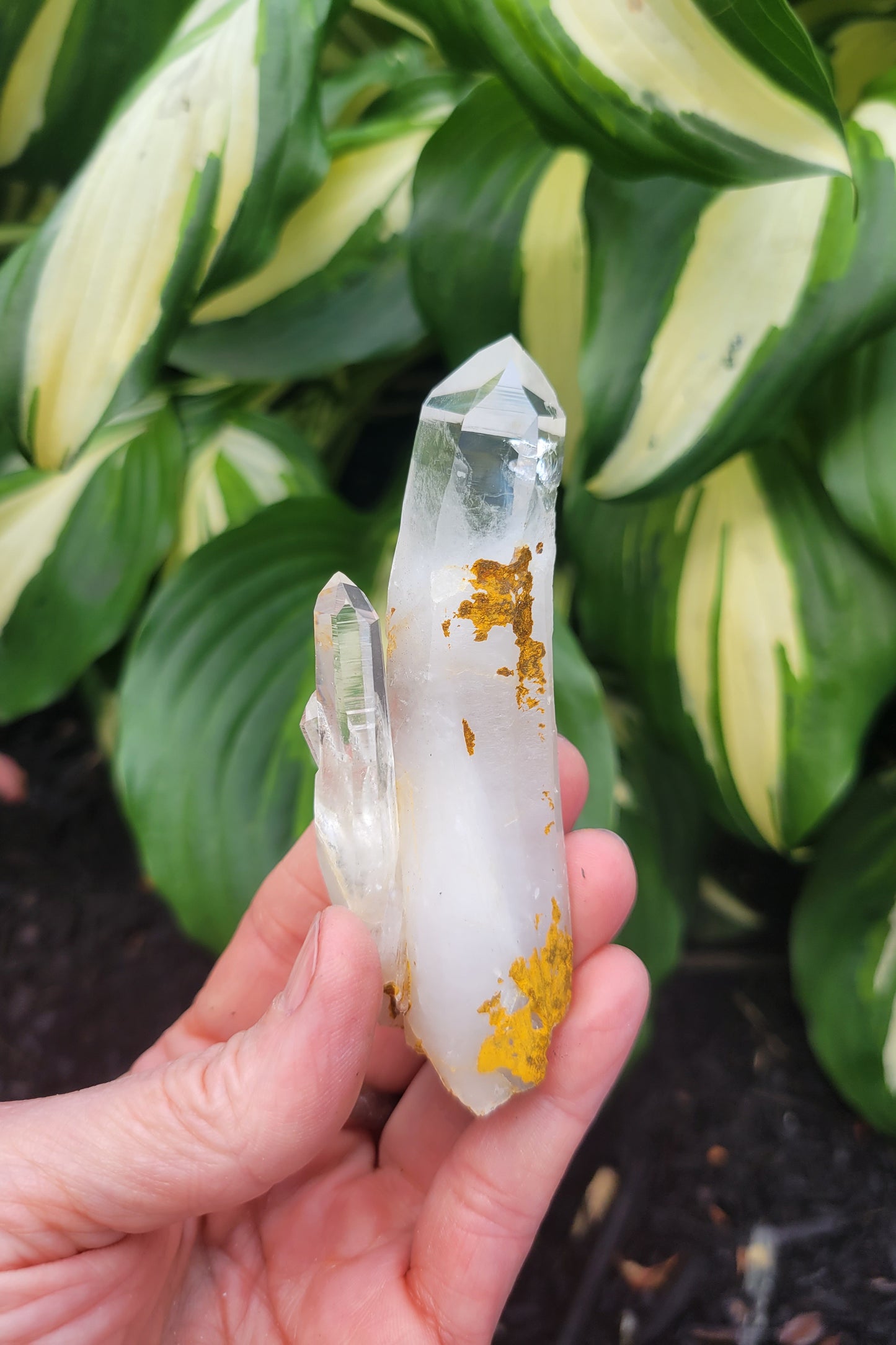 Quartz from Santander, Colombia