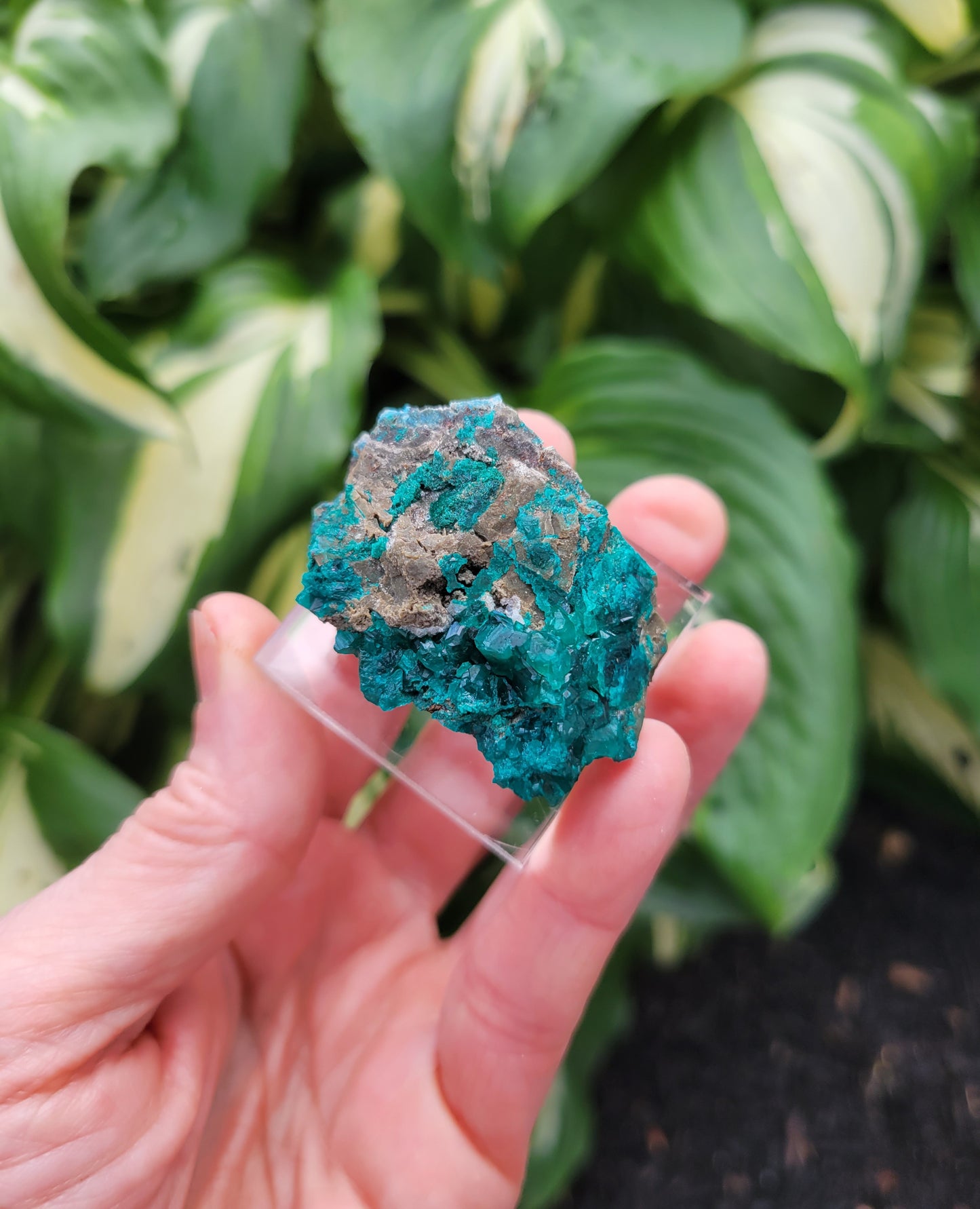 Dioptase from DRC (Congo)