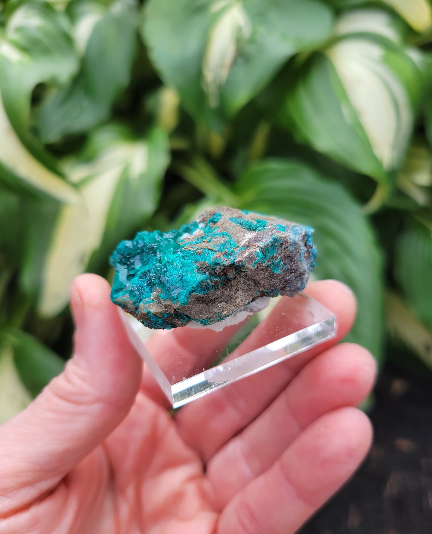 Dioptase from DRC (Congo)