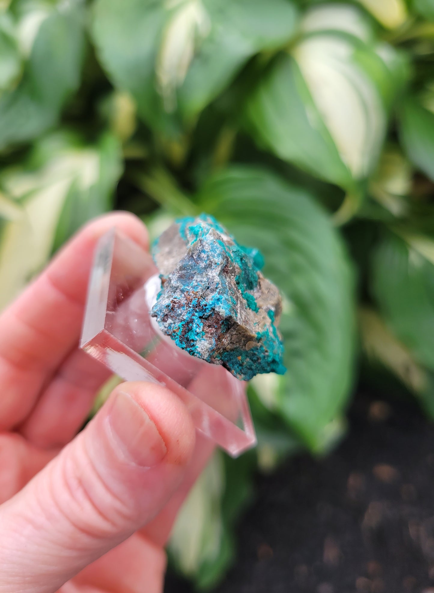 Dioptase from DRC (Congo)