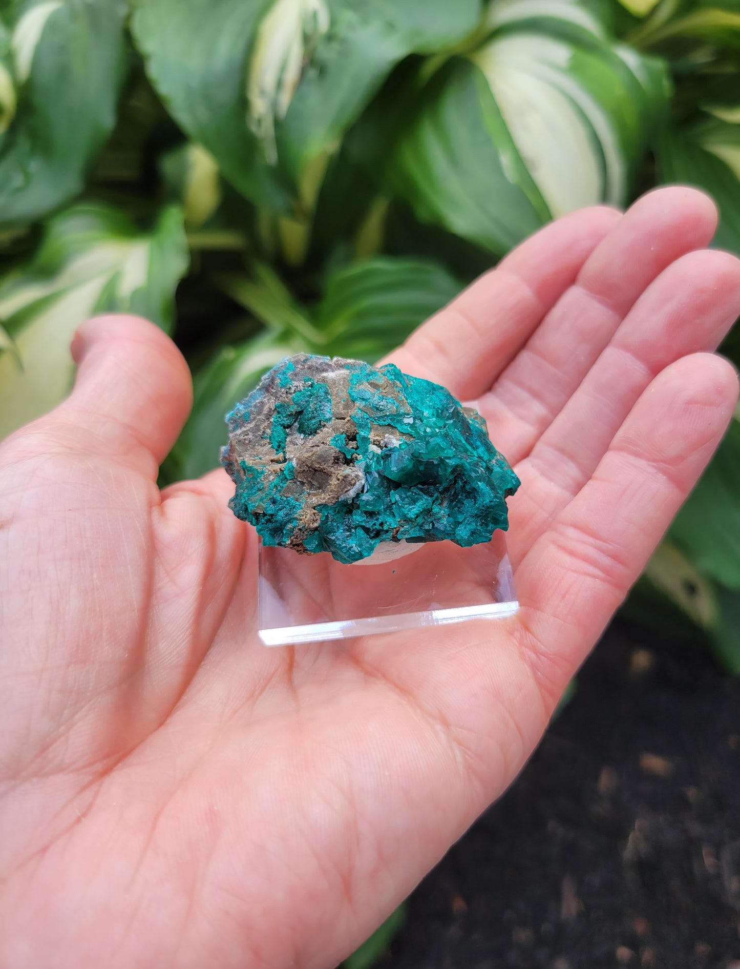 Dioptase from DRC (Congo)