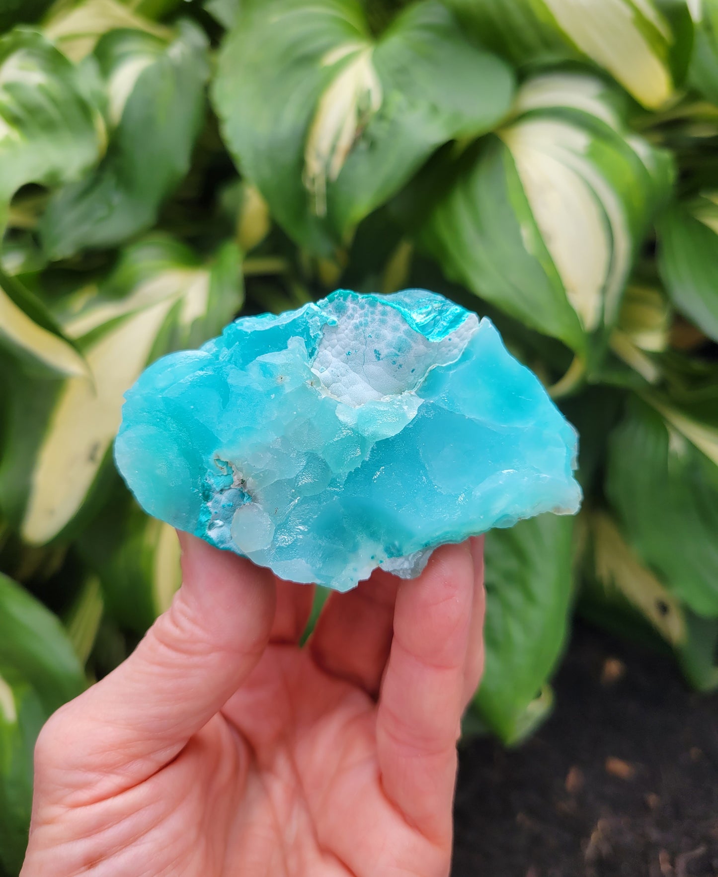 Hemimorphite and Aurachalite from Palabanda, M'fouati, Congo