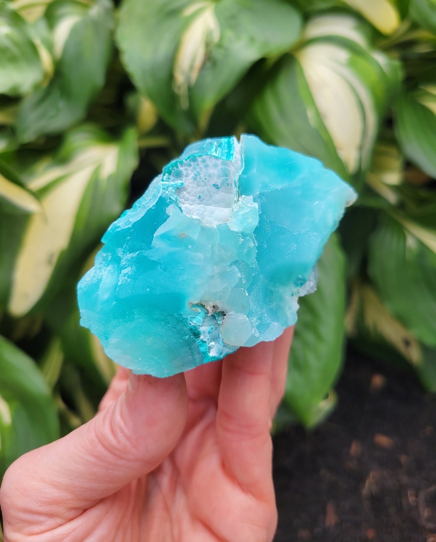 Hemimorphite and Aurachalite from Palabanda, M'fouati, Congo