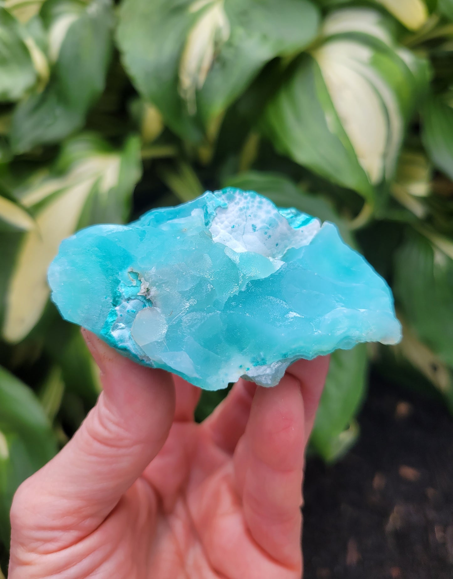 Hemimorphite and Aurachalite from Palabanda, M'fouati, Congo