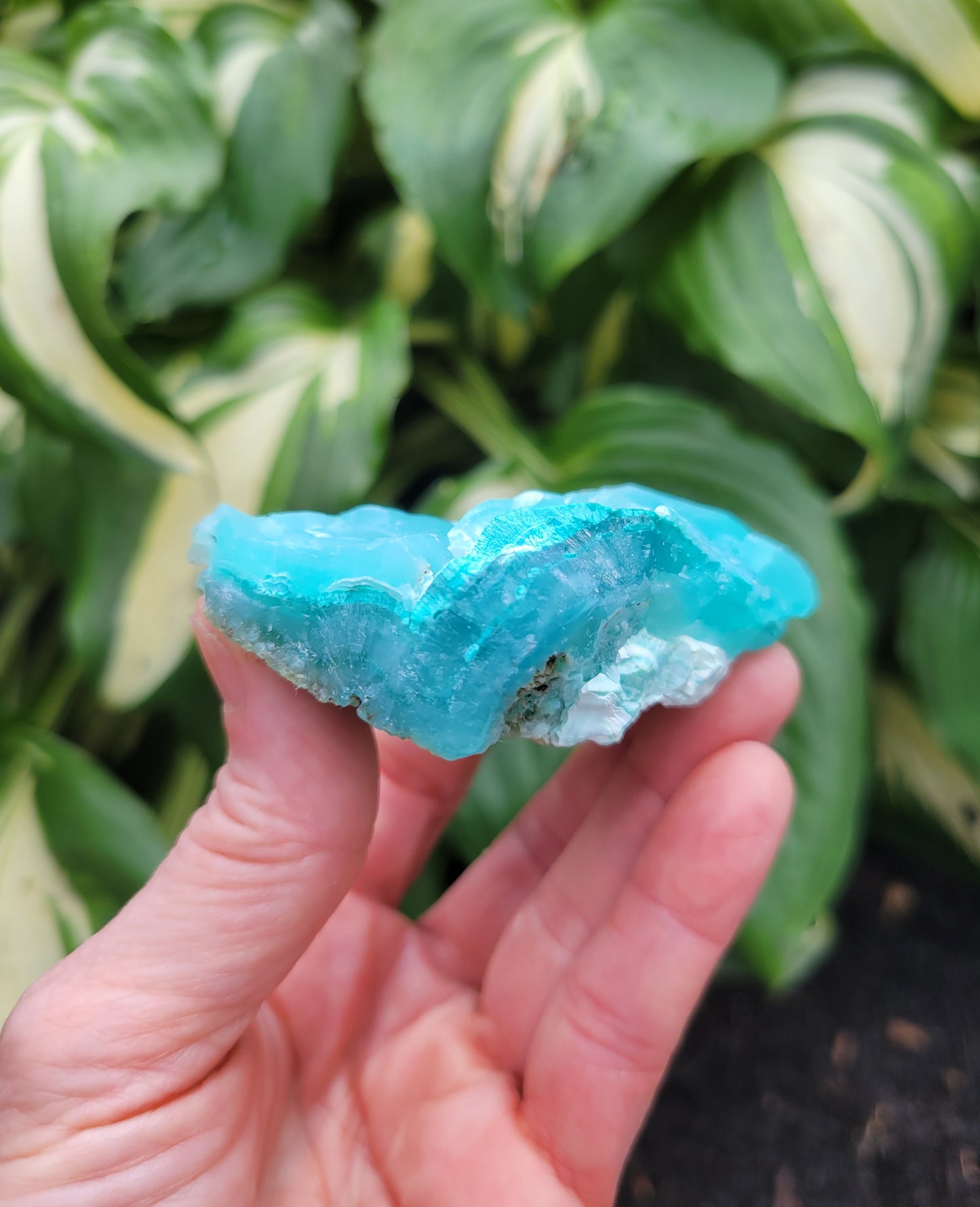 Hemimorphite and Aurachalite from Palabanda, M'fouati, Congo