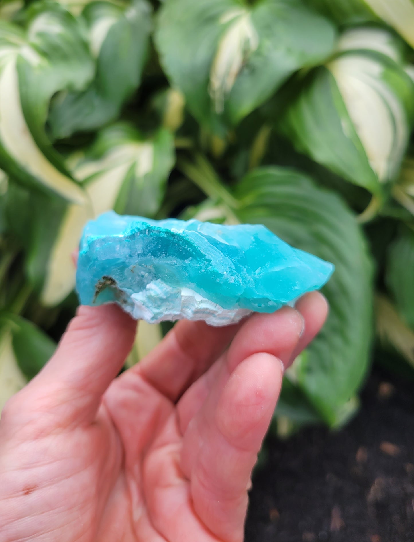 Hemimorphite and Aurachalite from Palabanda, M'fouati, Congo