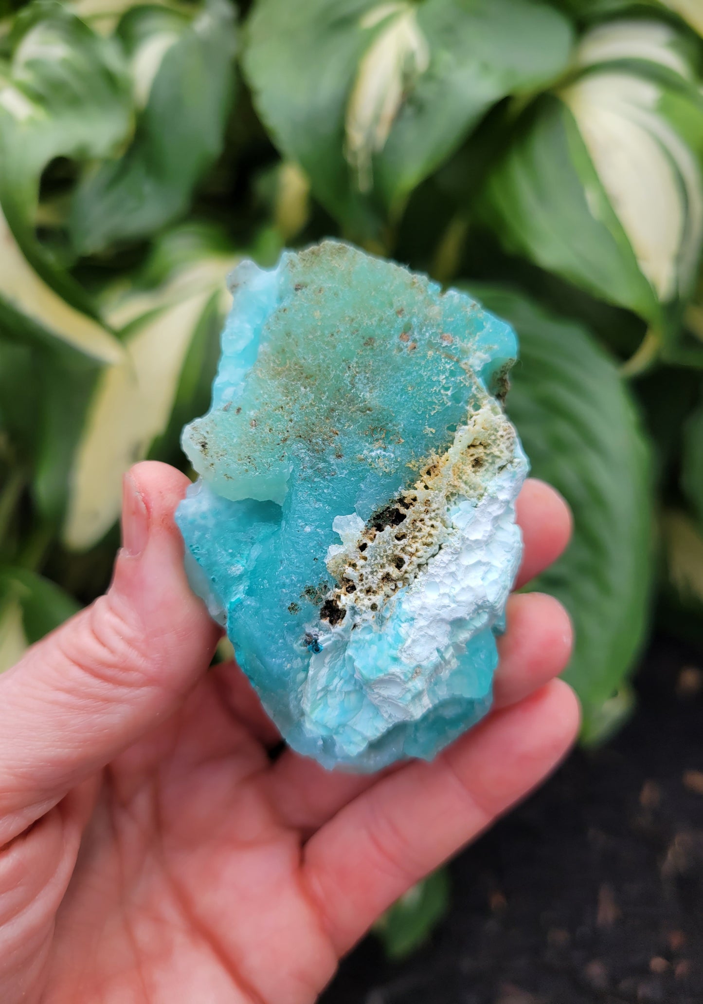Hemimorphite and Aurachalite from Palabanda, M'fouati, Congo
