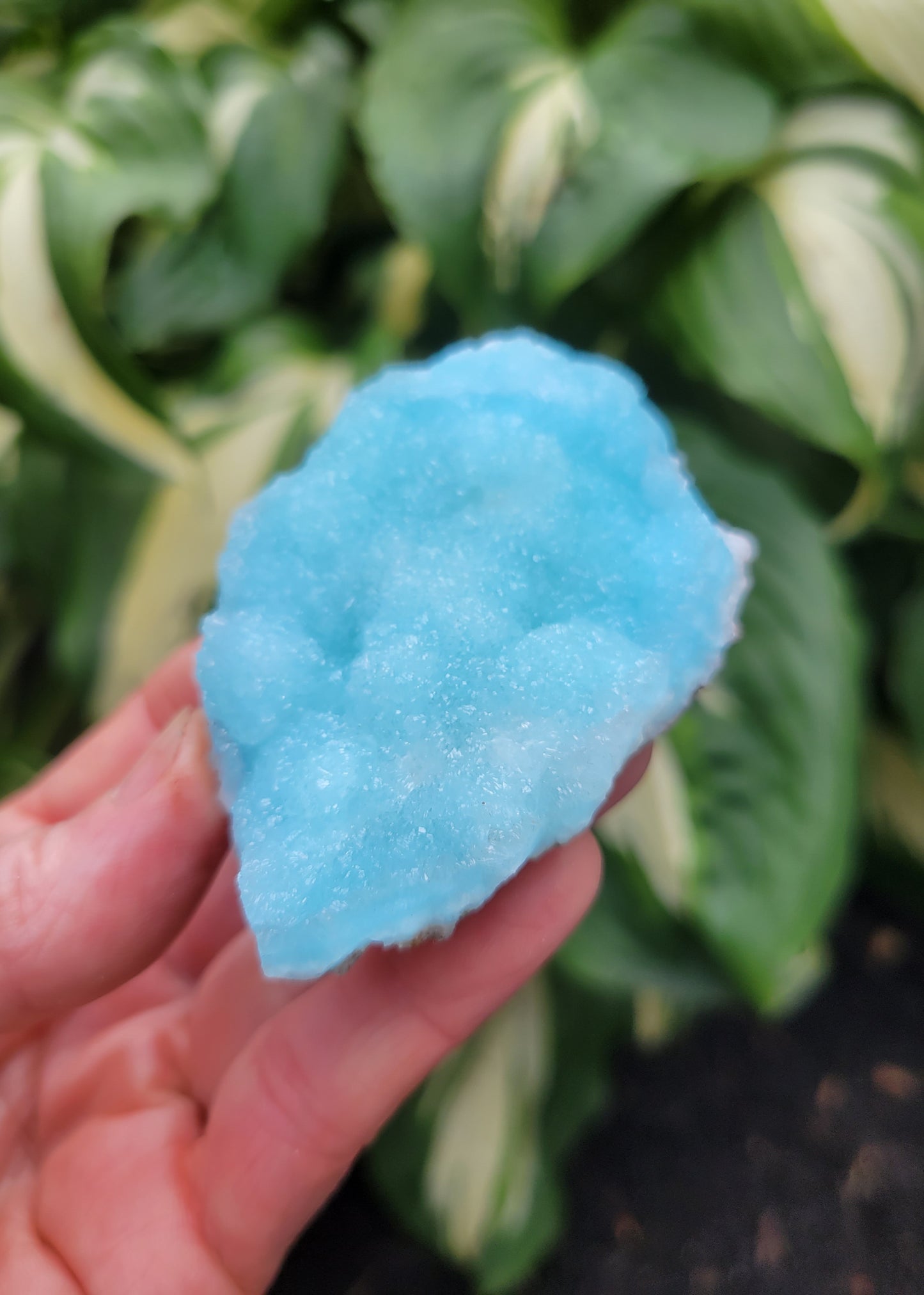 Hemimorphite from Palabanda, M'fouati, Congo