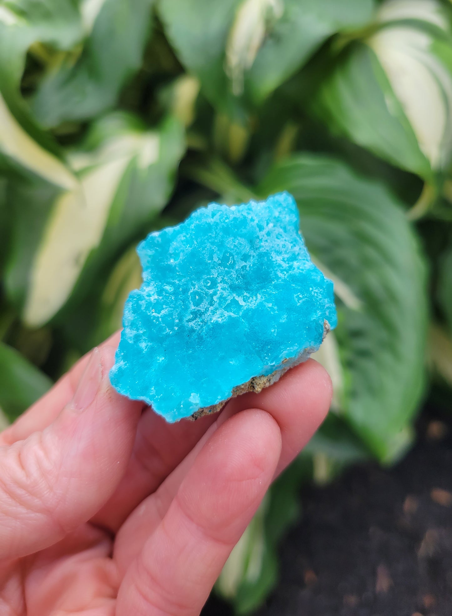 Hemimorphite from Palabanda, M'fouati, Congo