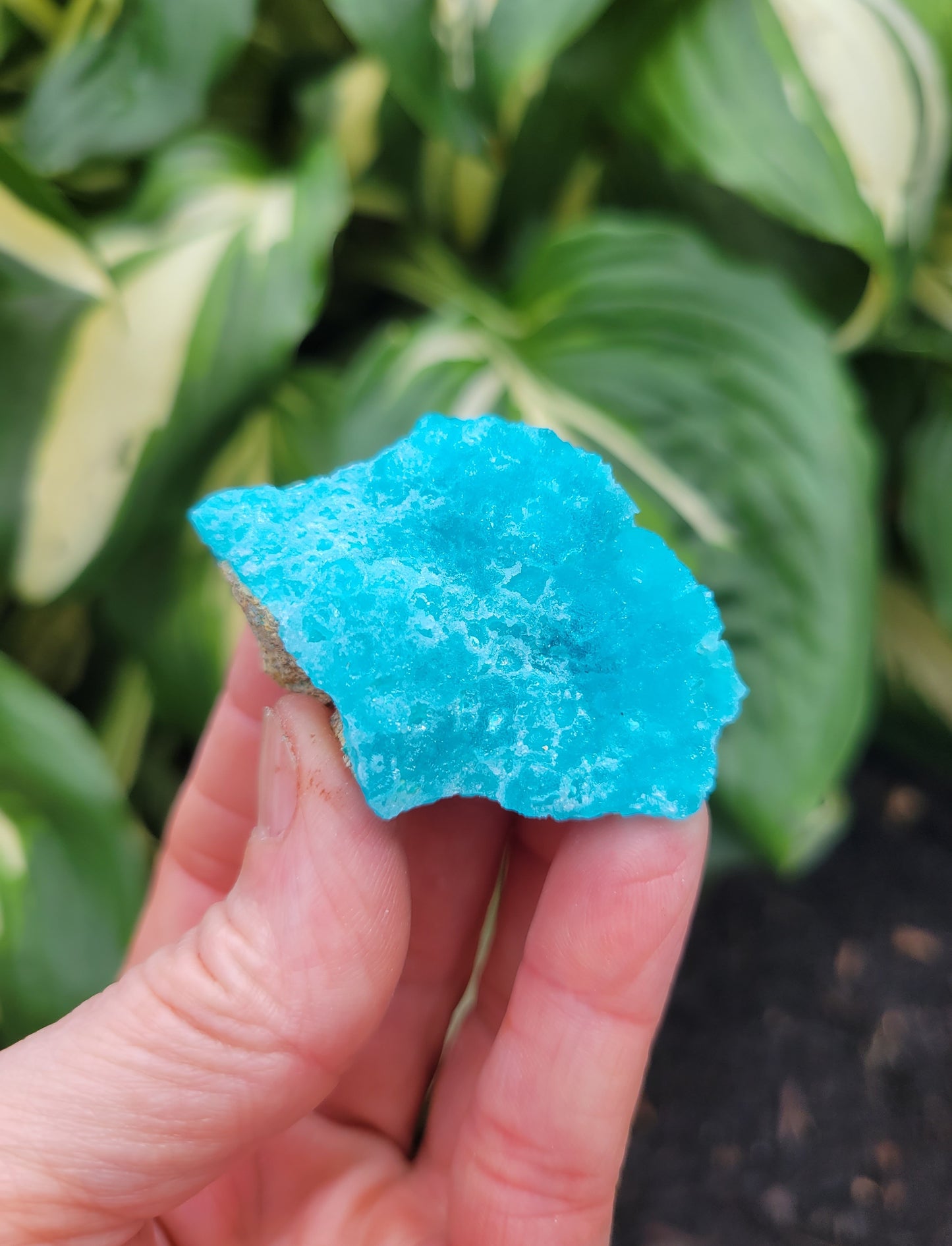 Hemimorphite from Palabanda, M'fouati, Congo