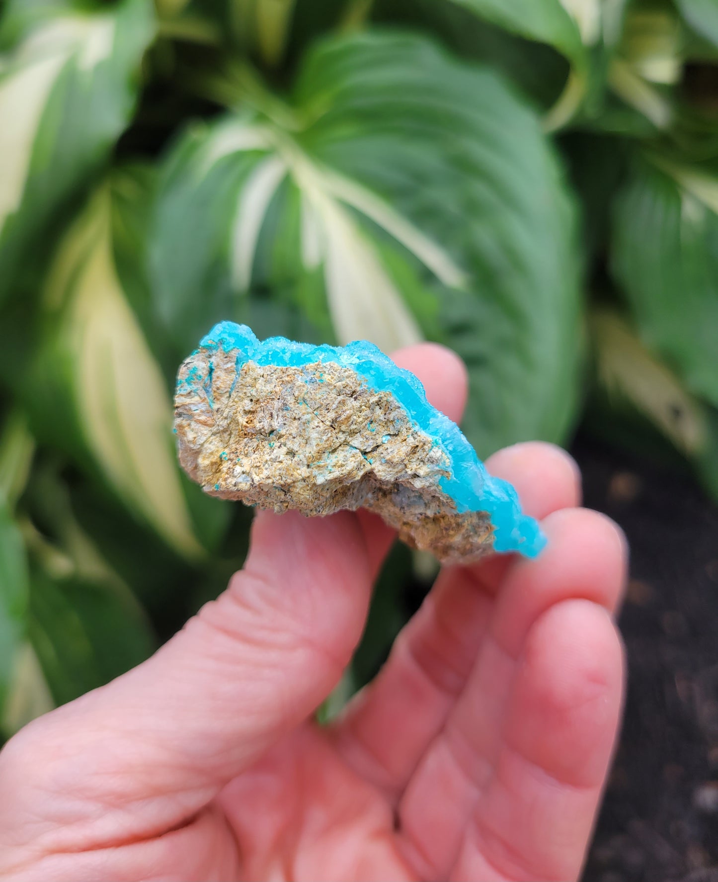 Hemimorphite from Palabanda, M'fouati, Congo