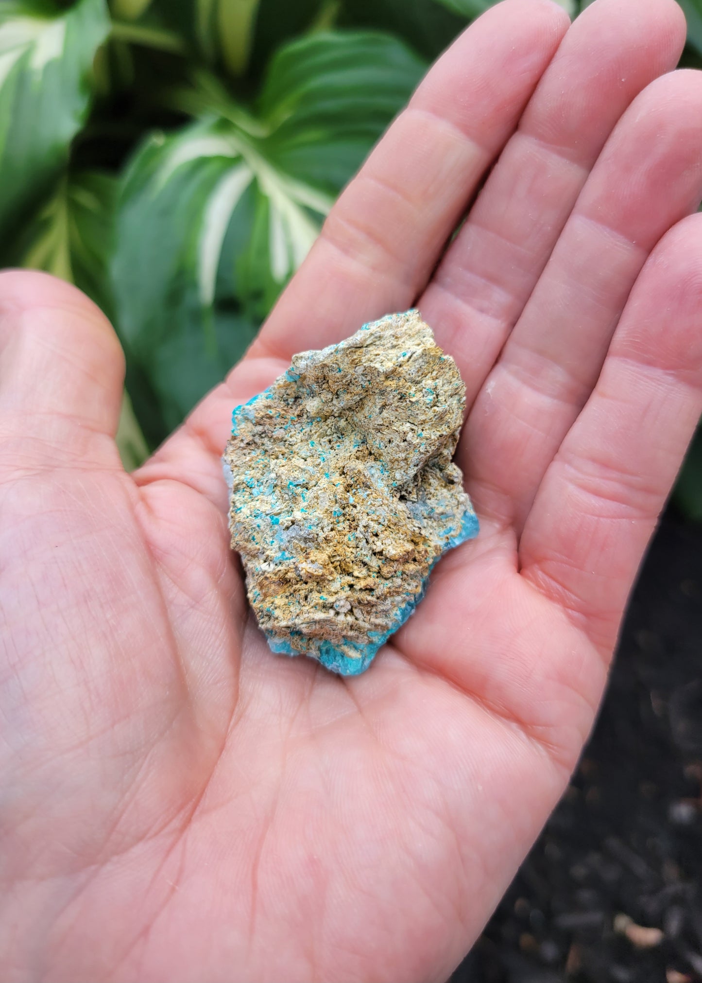 Hemimorphite from Palabanda, M'fouati, Congo