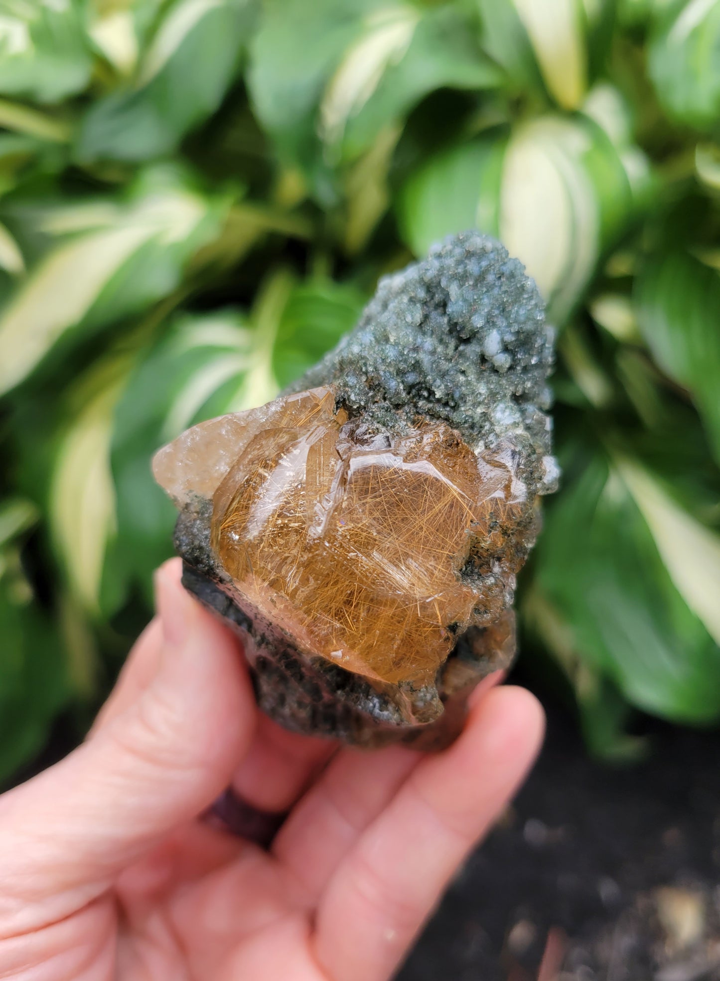 Himalayan Rutilated Quartz Skull from India