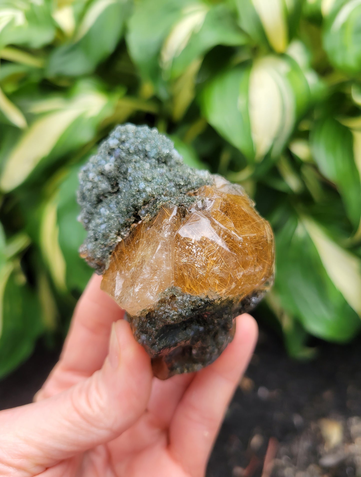 Himalayan Rutilated Quartz Skull from India