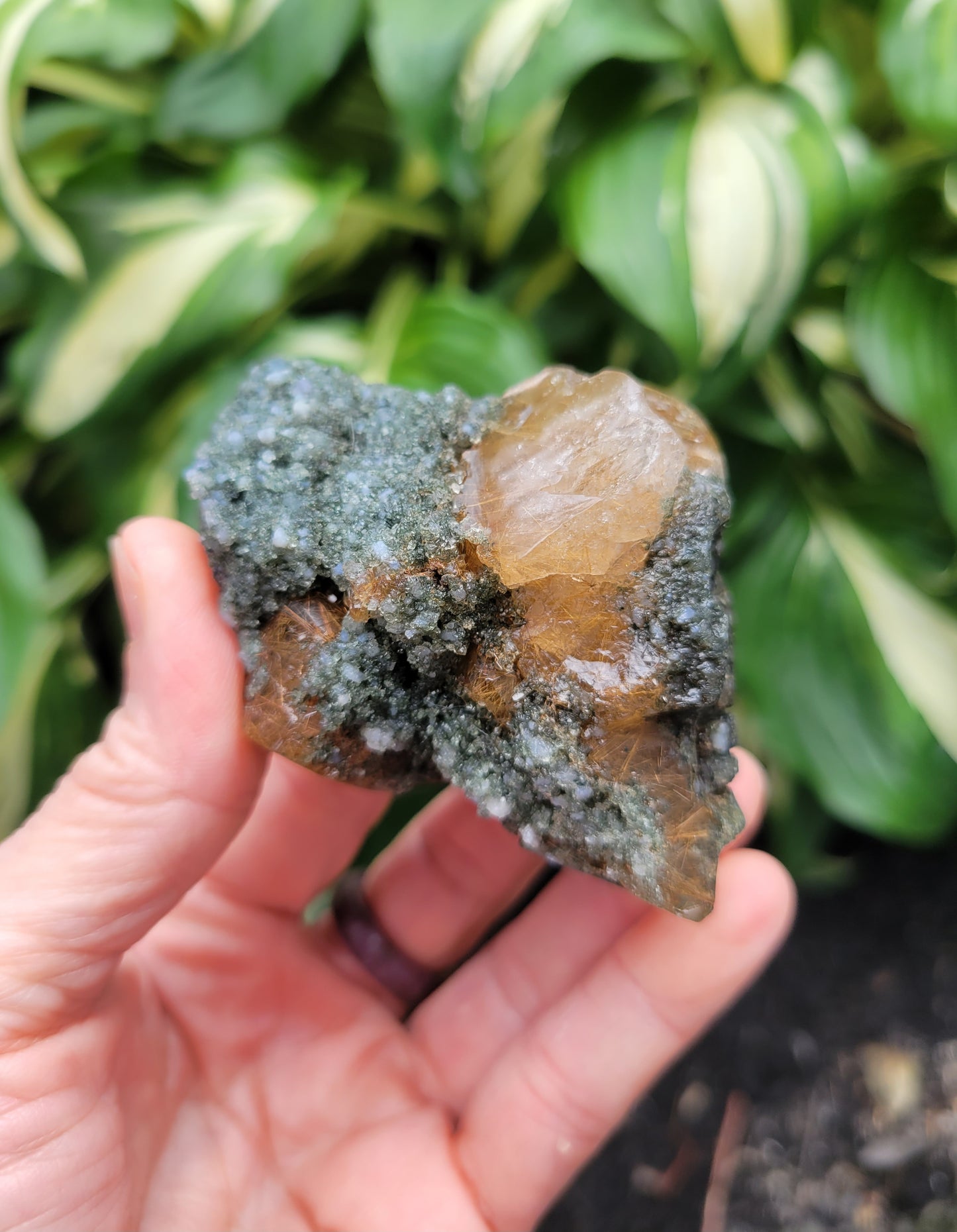 Himalayan Rutilated Quartz Skull from India