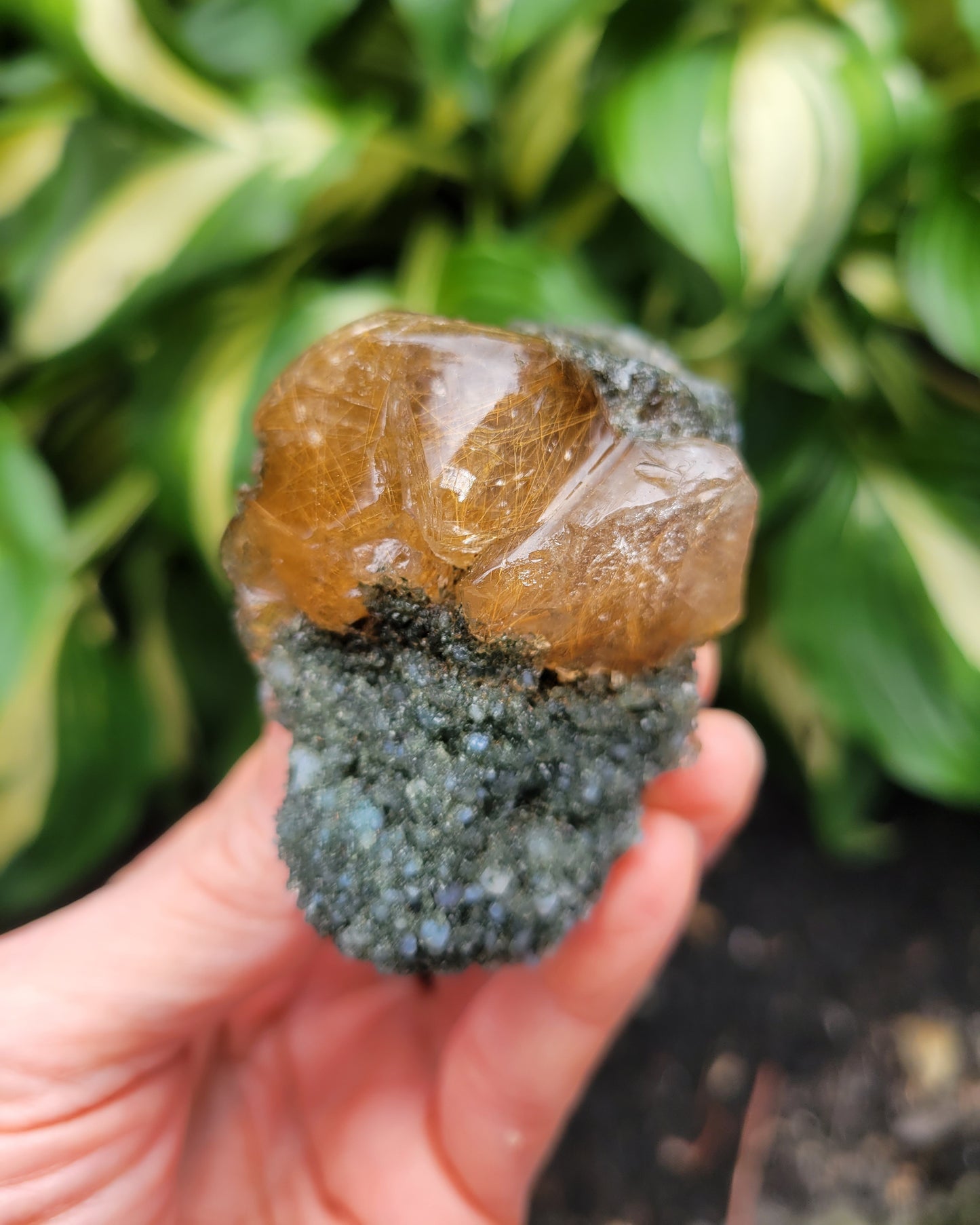 Himalayan Rutilated Quartz Skull from India