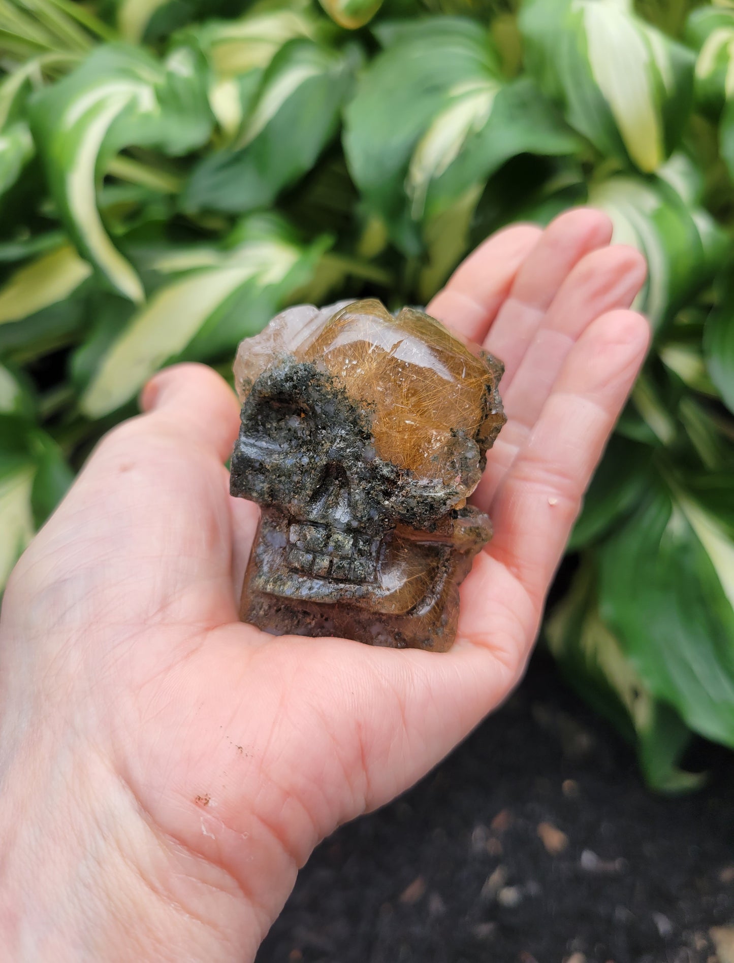 Himalayan Rutilated Quartz Skull from India