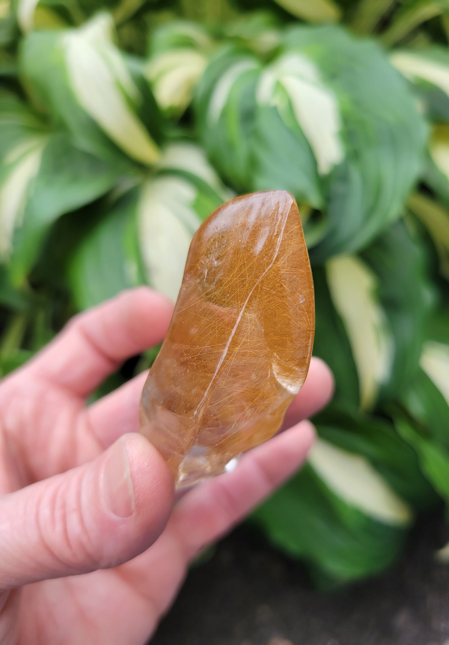 Himalayan Rutilated Quartz Skull from India