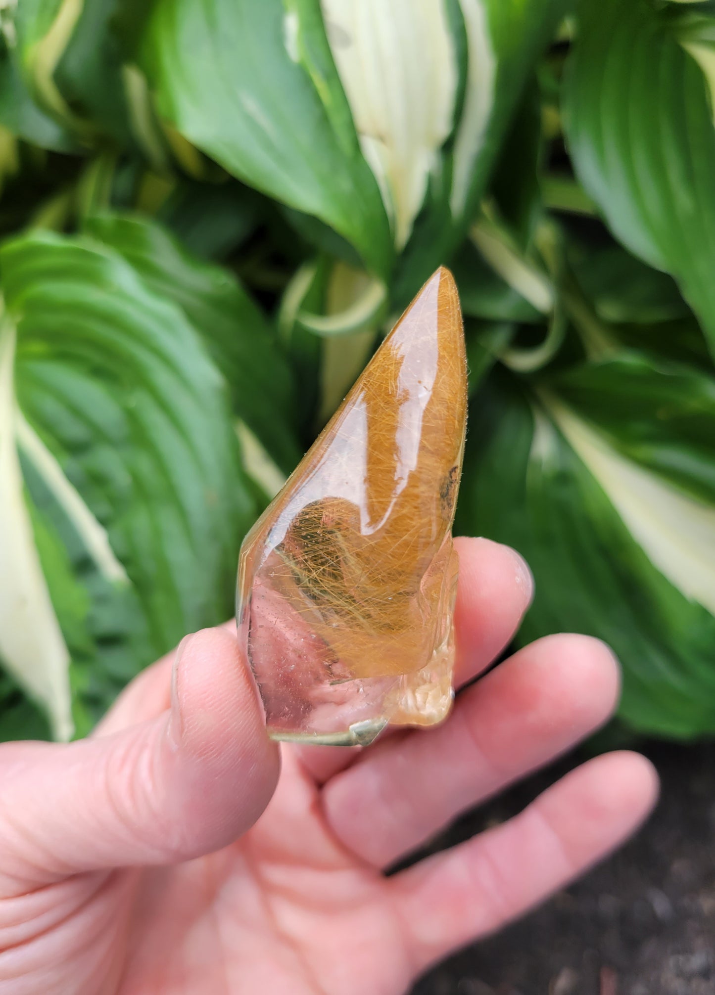 Himalayan Rutilated Quartz Skull from India