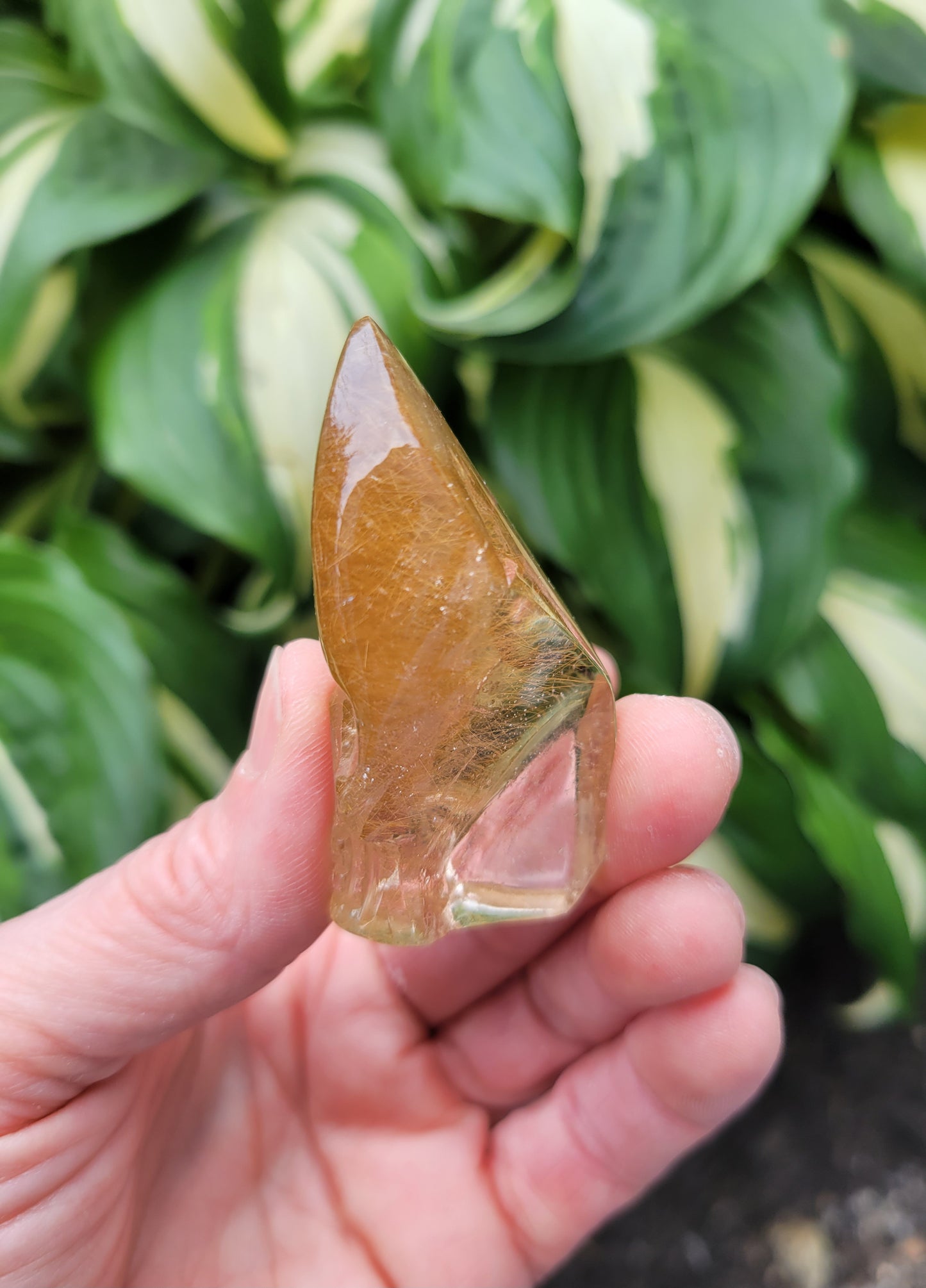 Himalayan Rutilated Quartz Skull from India