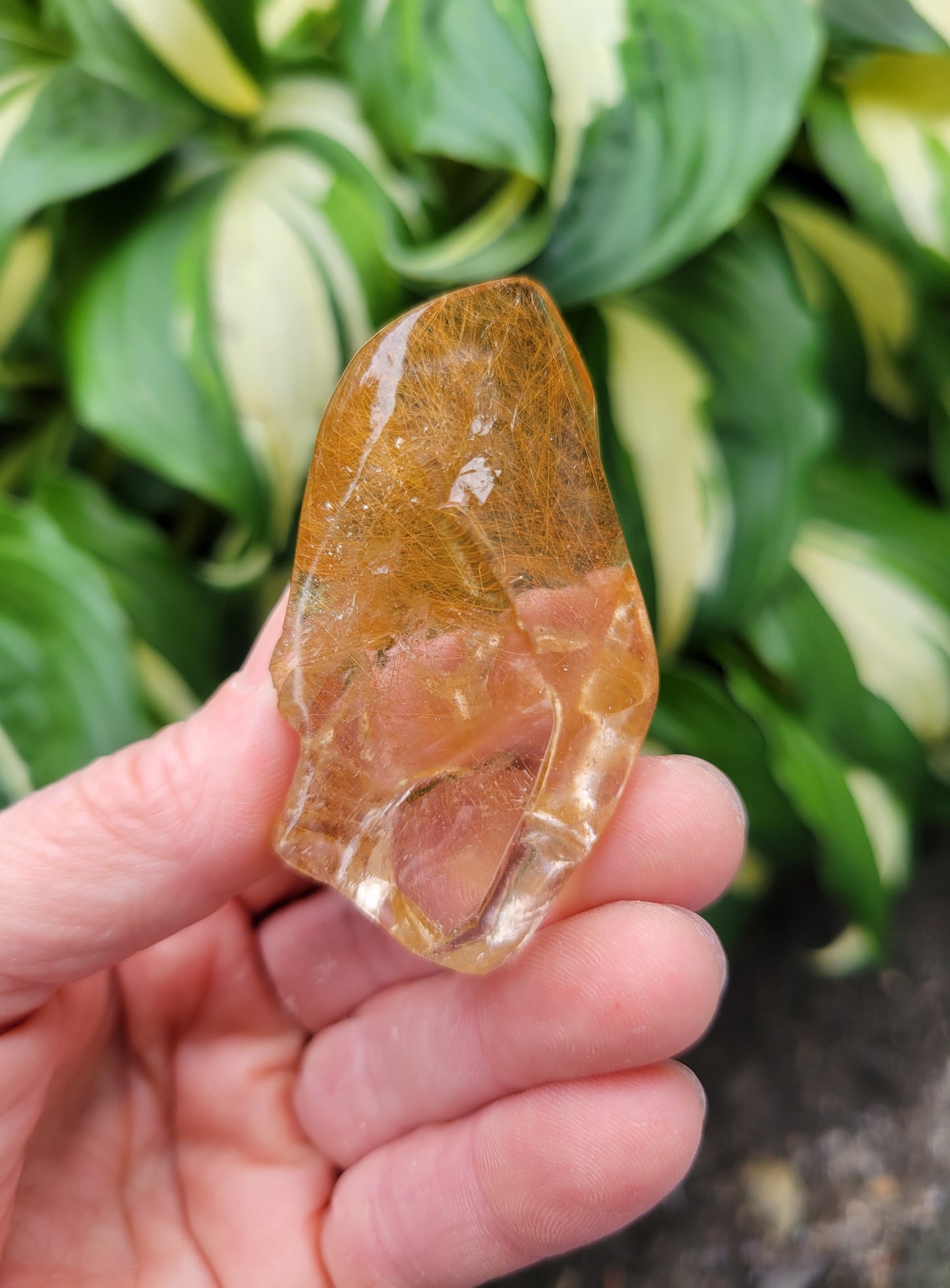 Himalayan Rutilated Quartz Skull from India