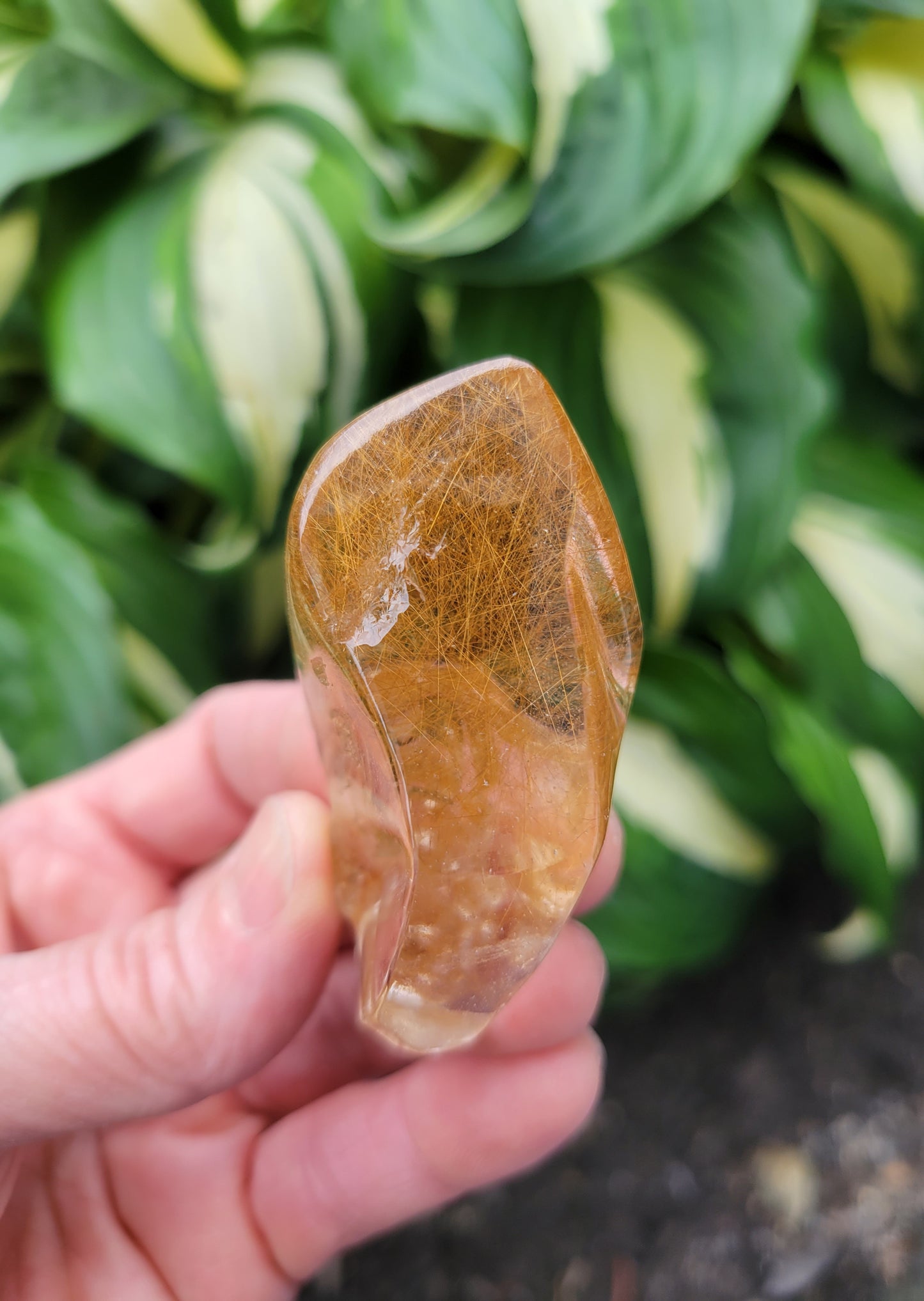 Himalayan Rutilated Quartz Skull from India