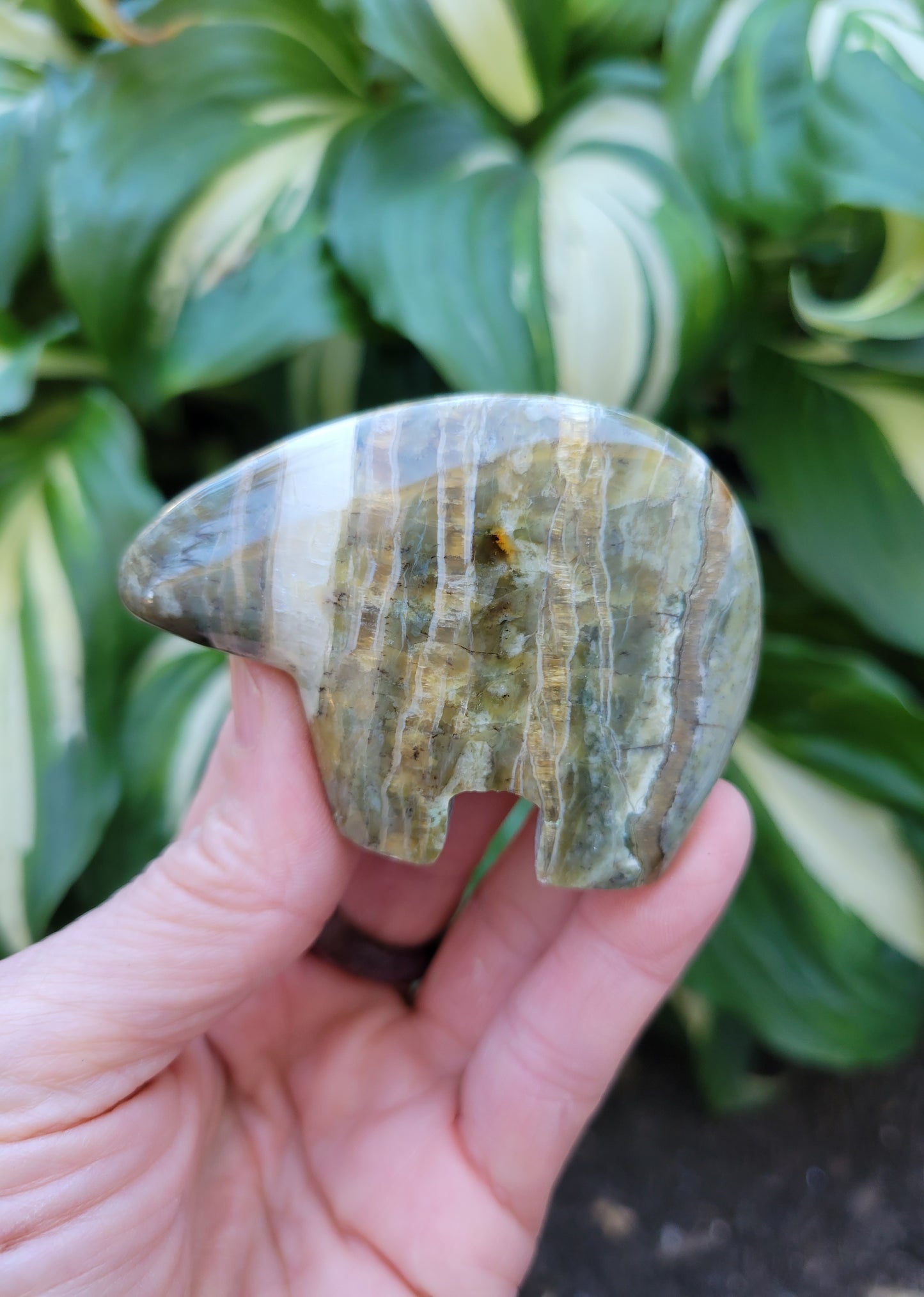 Pietersite Bear Carving from Arizona