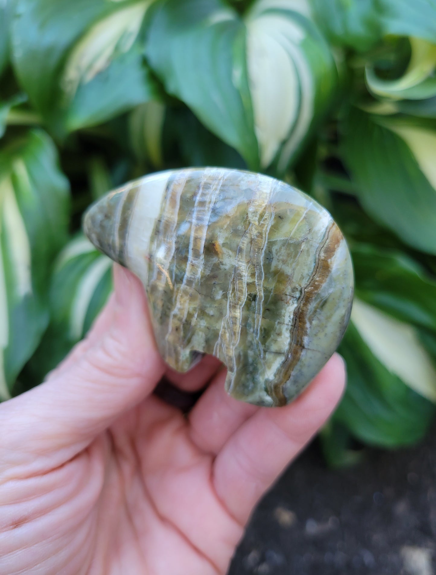 Pietersite Bear Carving from Arizona
