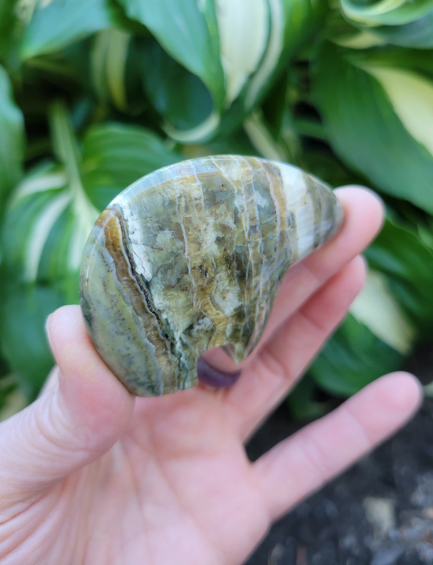 Pietersite Bear from Arizona