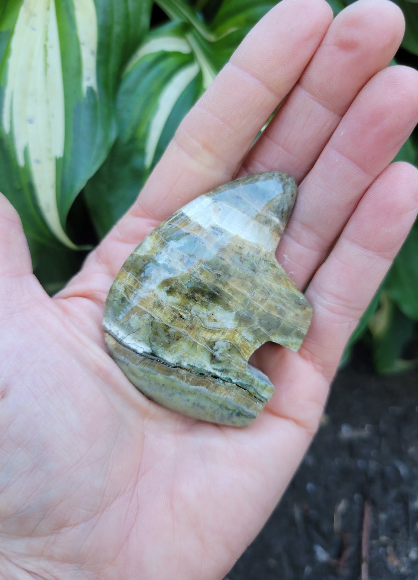 Pietersite Bear from Arizona