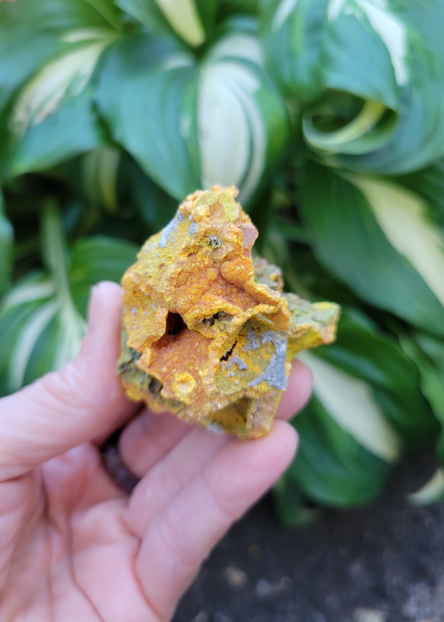 Orpiment from Shimen City, Hunan Province, China