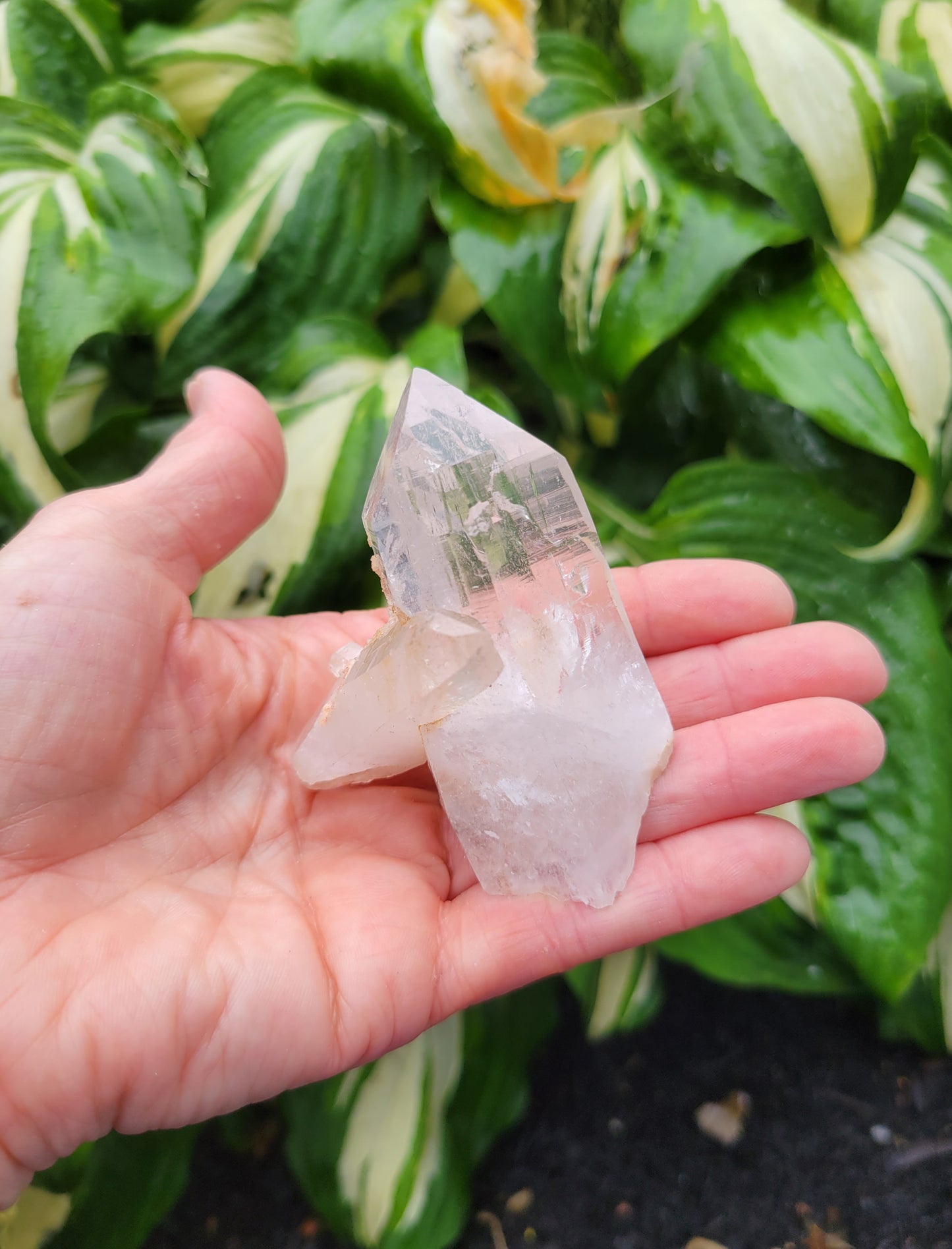 Quartz from Santander, Colombia