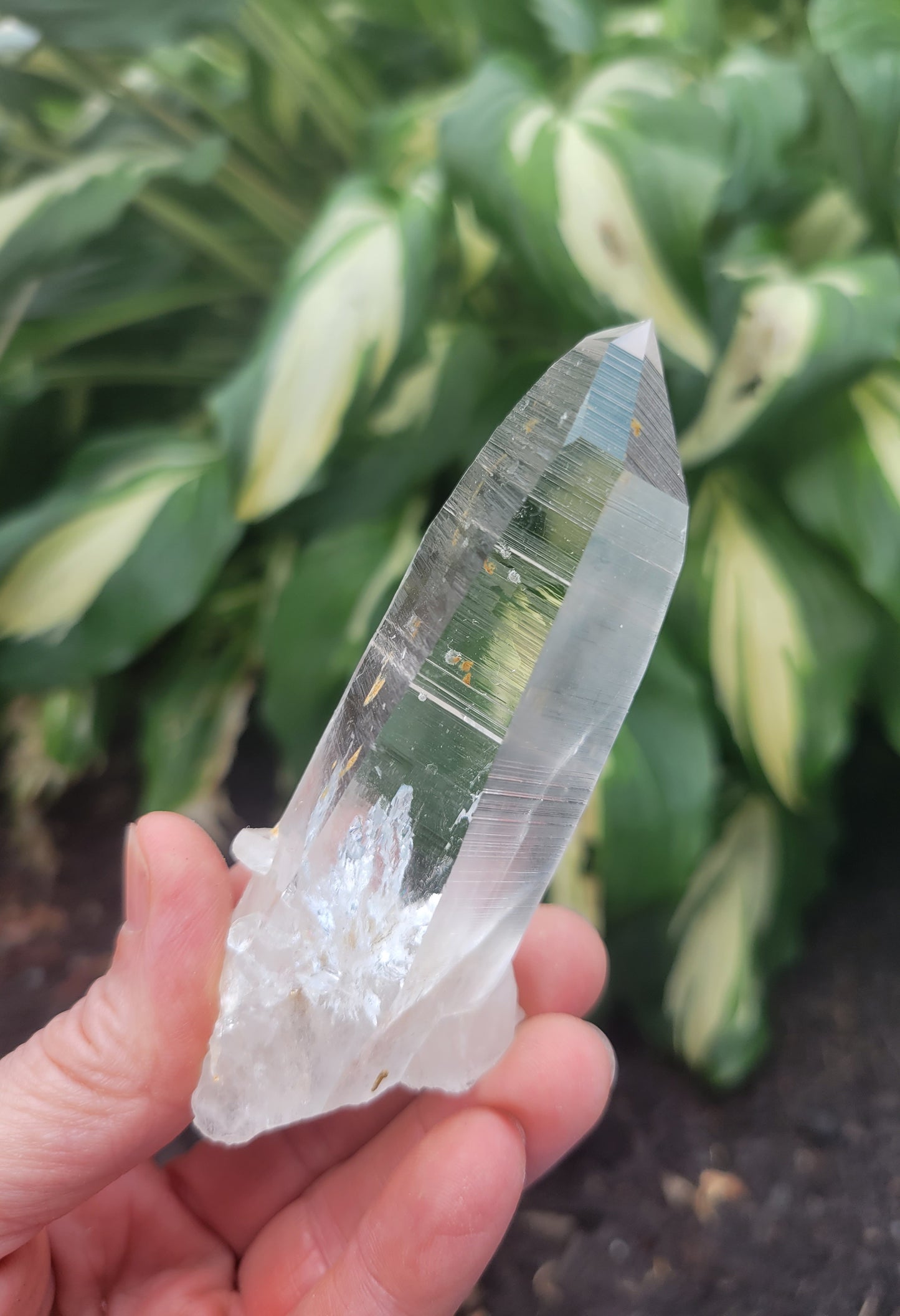 Quartz (Lemurian) from Colombia