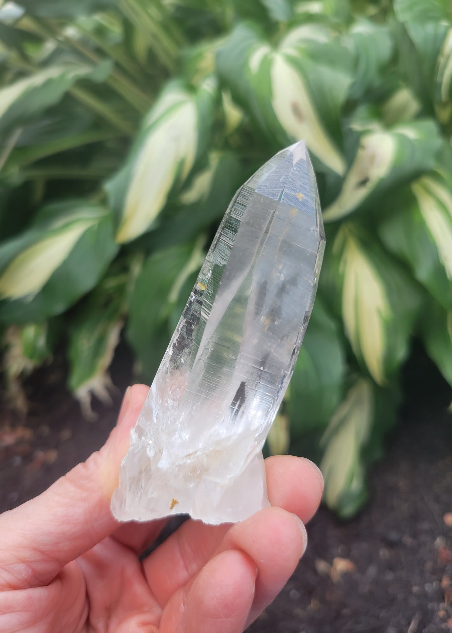 Quartz (Lemurian) from Colombia
