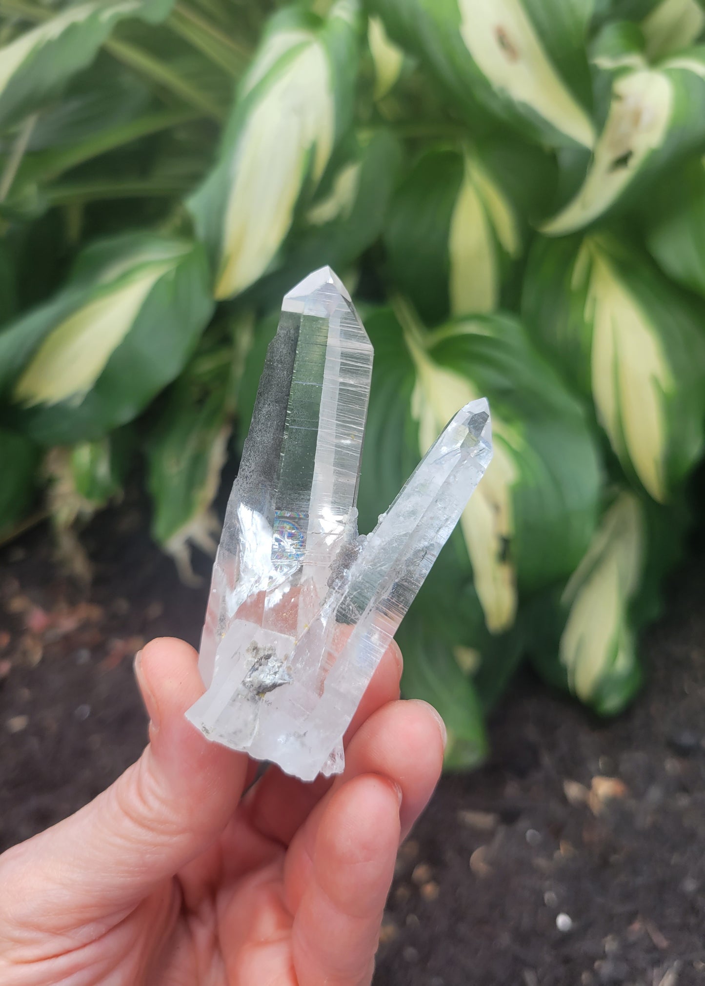Quartz (Lemurian X 2) from Colombia