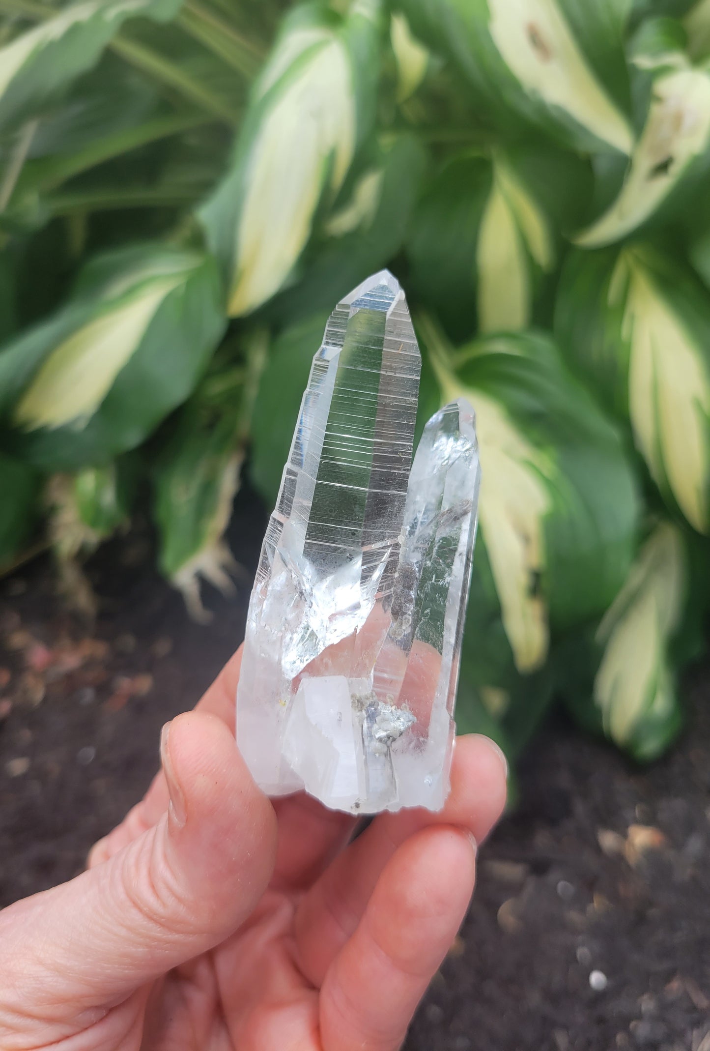 Quartz (Lemurian X 2) from Colombia