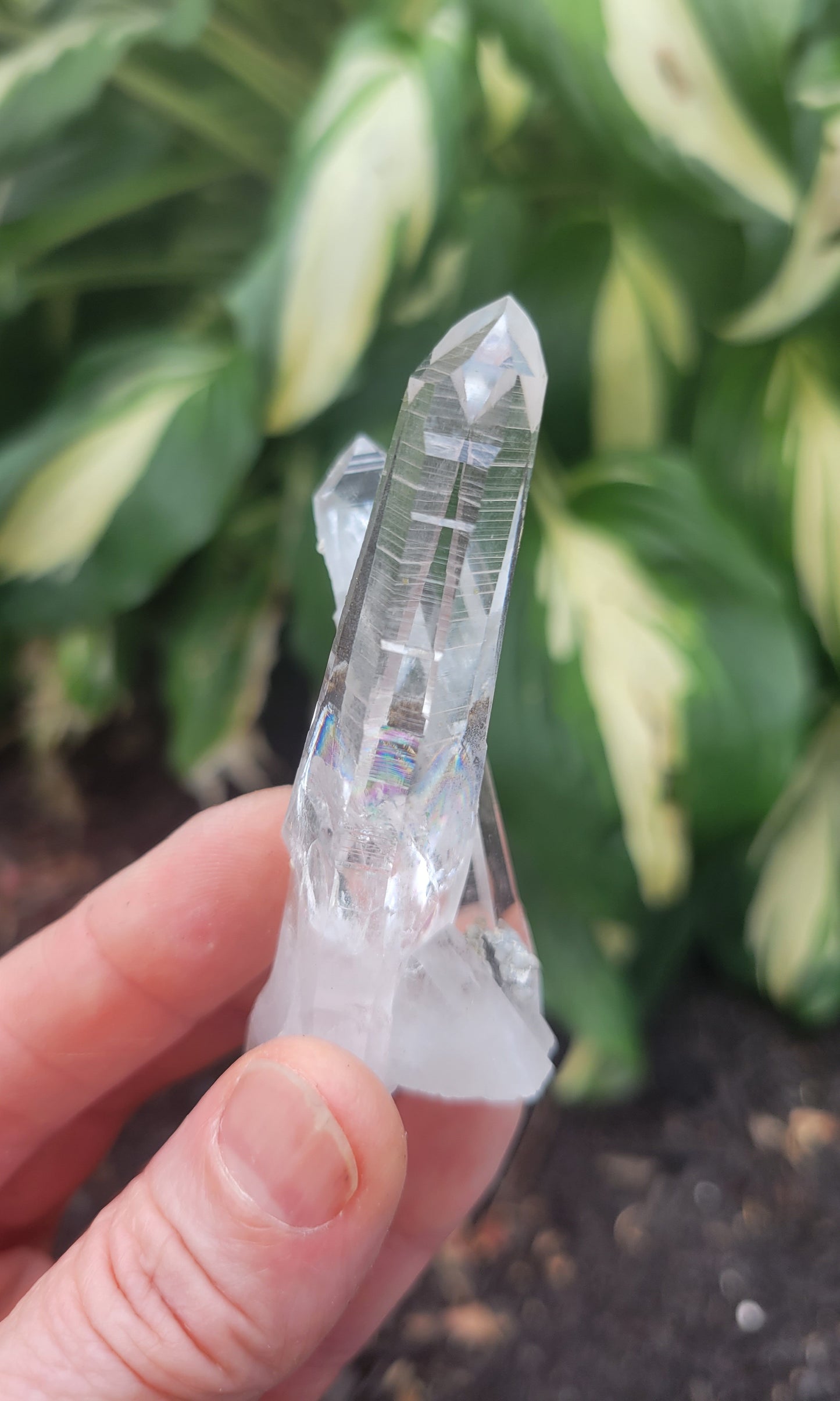 Quartz (Lemurian X 2) from Colombia
