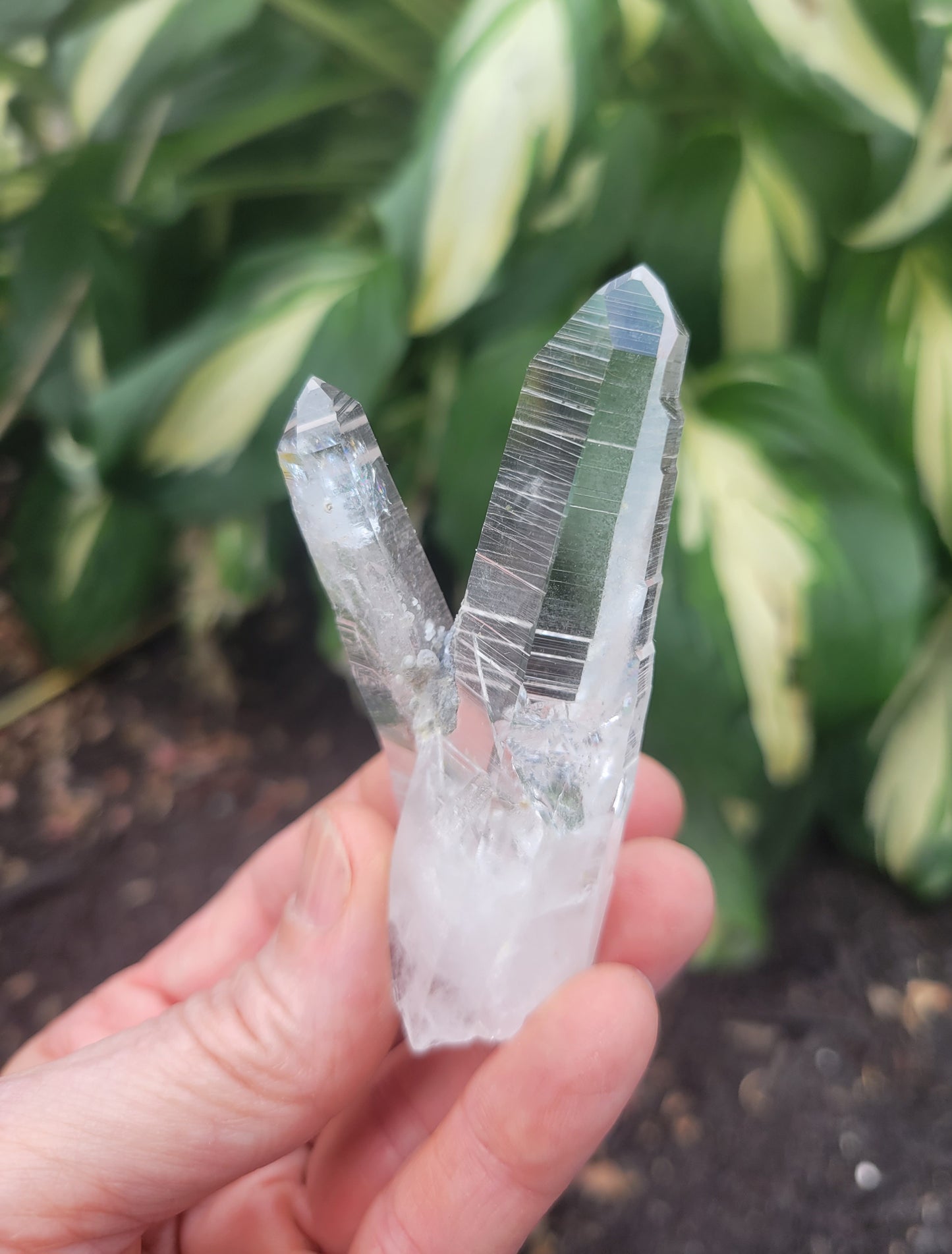 Quartz (Lemurian X 2) from Colombia