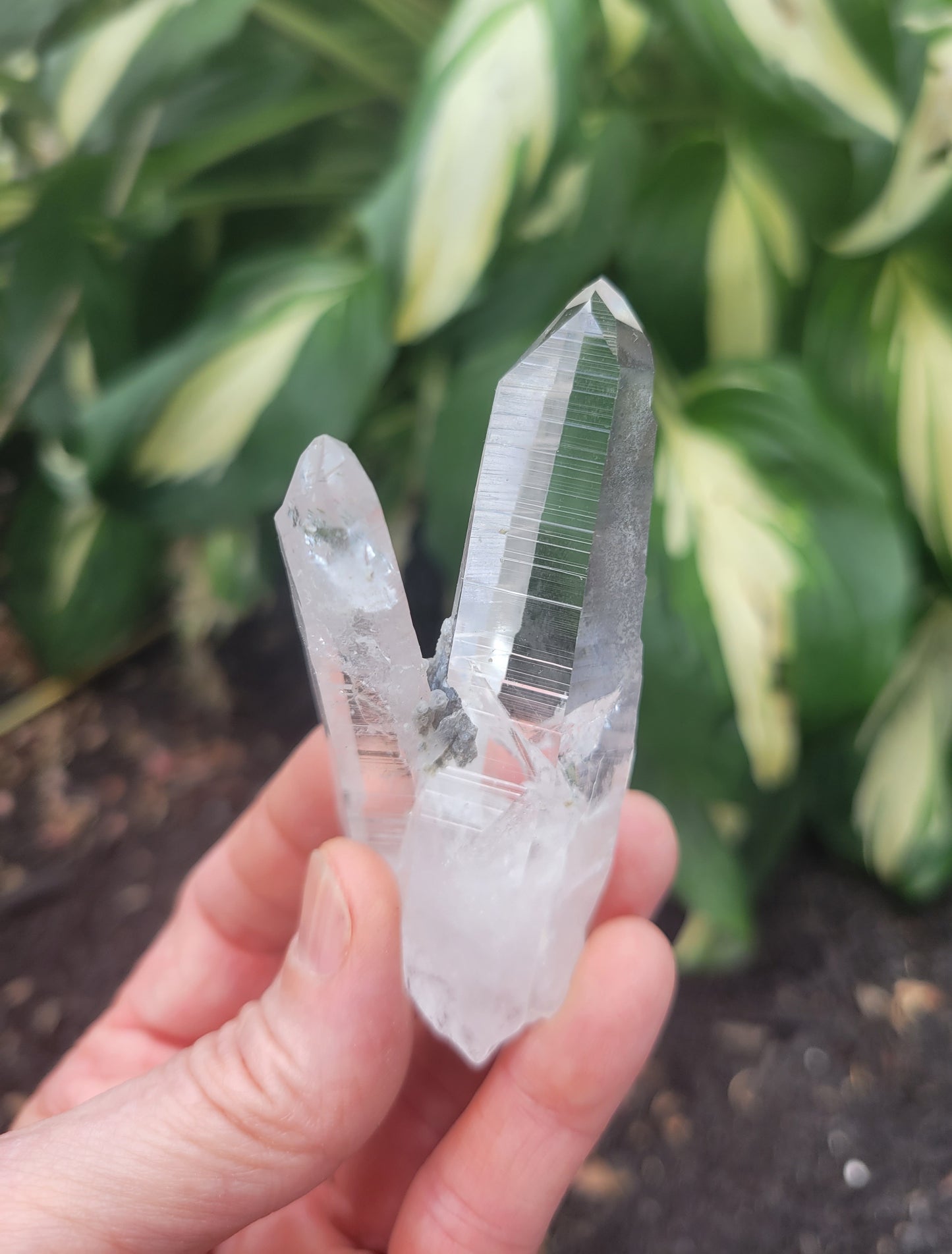Quartz (Lemurian X 2) from Colombia