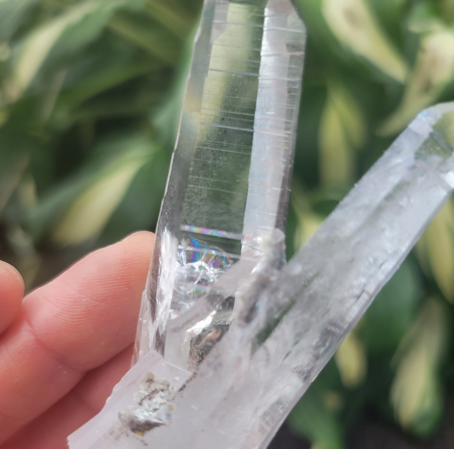 Quartz (Lemurian X 2) from Colombia